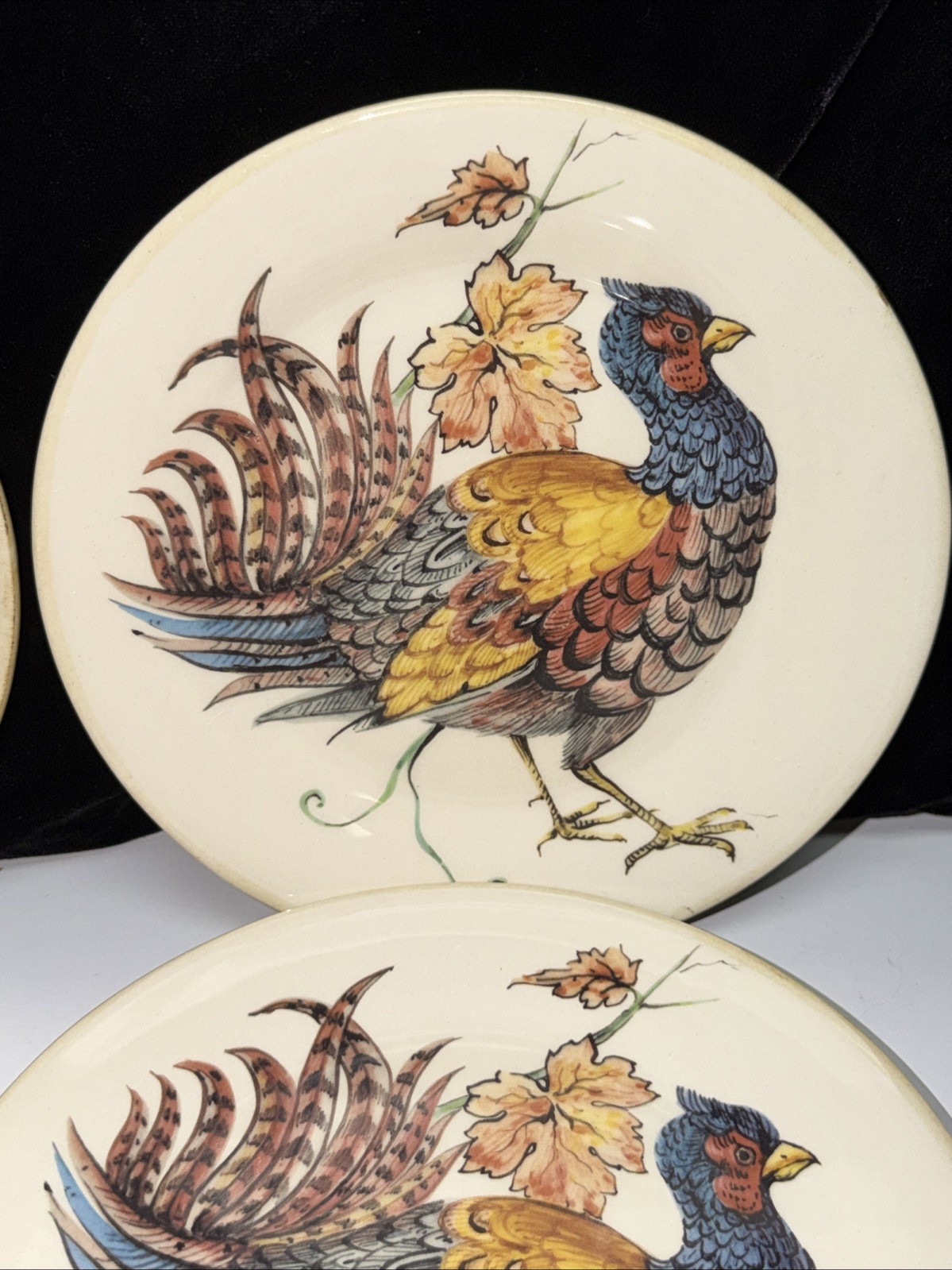 SET OF 6–Sur La Table PHEASANT 8.5″ Salad Plates ITALY FREE SHIPPING