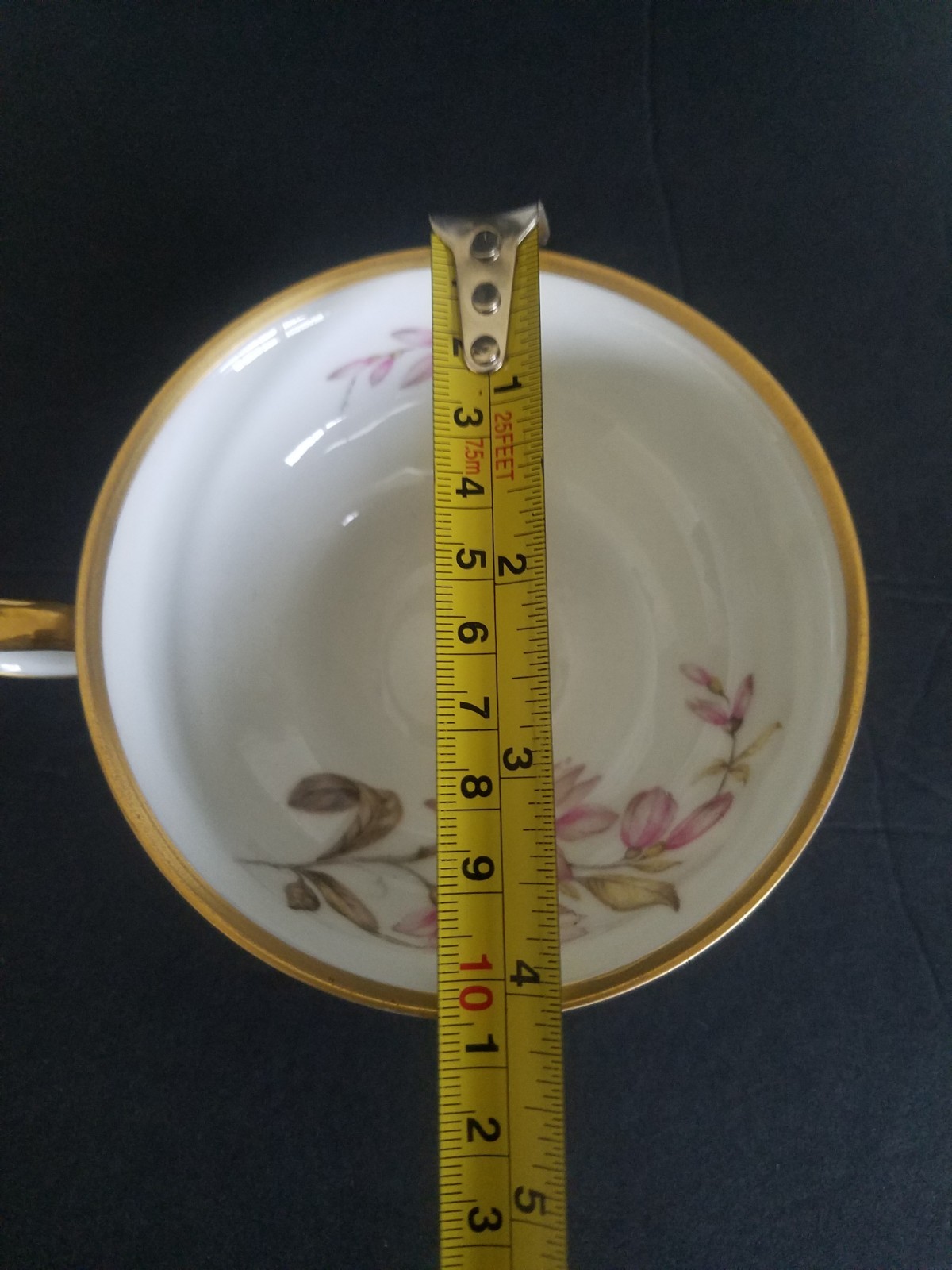 Vintage Edelstein Bavaria Maria Theresa 14 Pc Tea Service Magnolia China Set