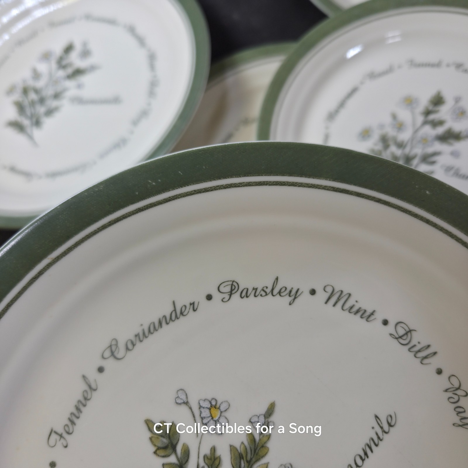 VTG Set 12 Corelle Thymeless Herbs Luncheon/Salad Plates 8 1/2″ Green