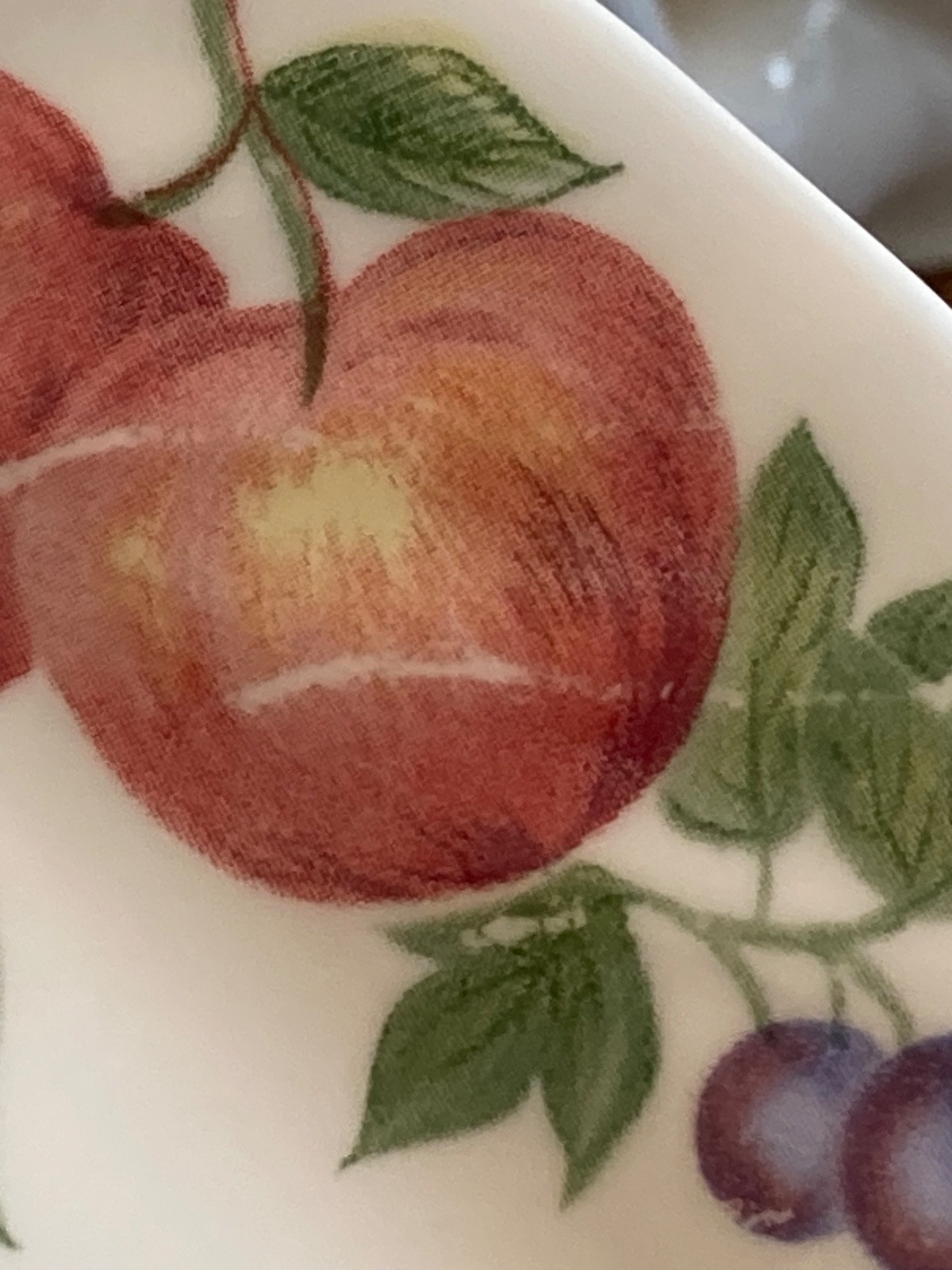 Corelle by Corning Chutney Dinner Plate 10.25″ Diameter ~.95″ Tall