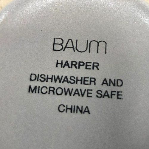 Baum Brothers HARPER Cereal Soup Bowls Mist Tan Blue Speckled Grey Band Set 4