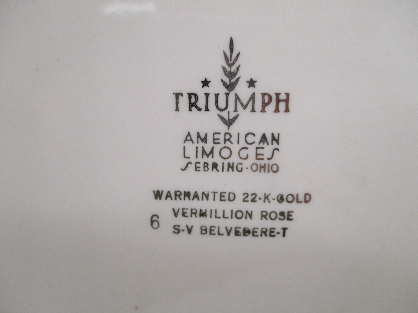 Triumph American Limoges-Vermillion Rose 12″ Platter- Sebring Ohio 22k