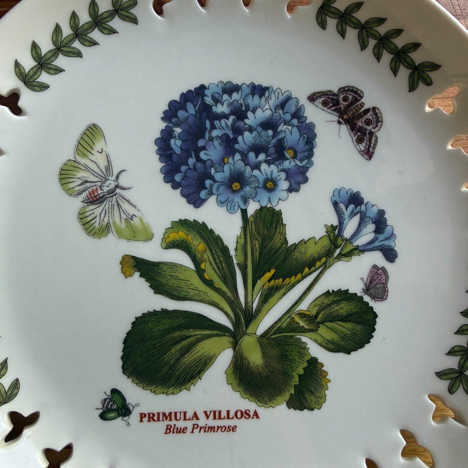 Botanic Garden Portmeirion Pierced Edge Plates 8.5″ Salad/Dessert- Set of 3