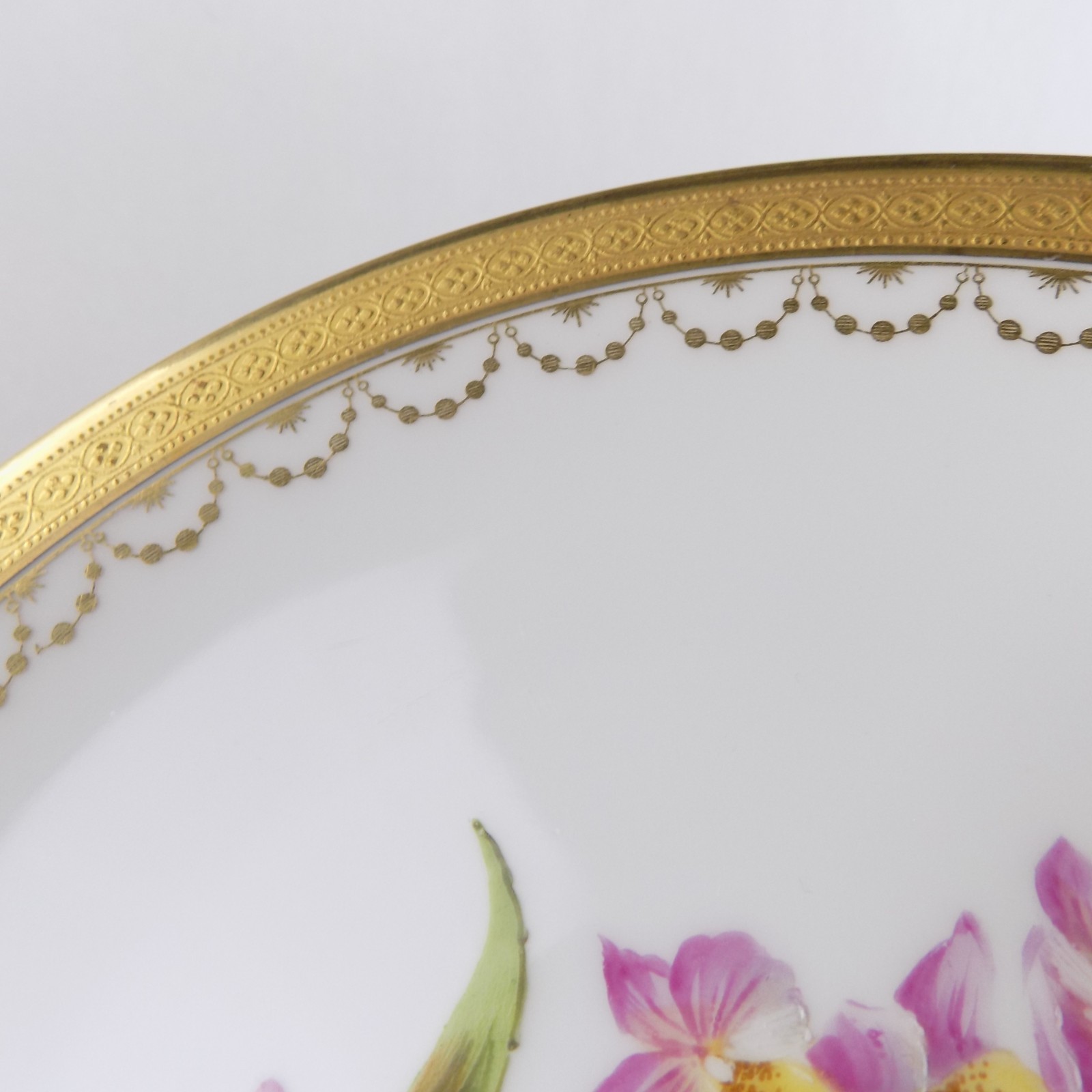 10 Antique T&V Limoges Hand Painted Botanical Plates Ovington Bros New York