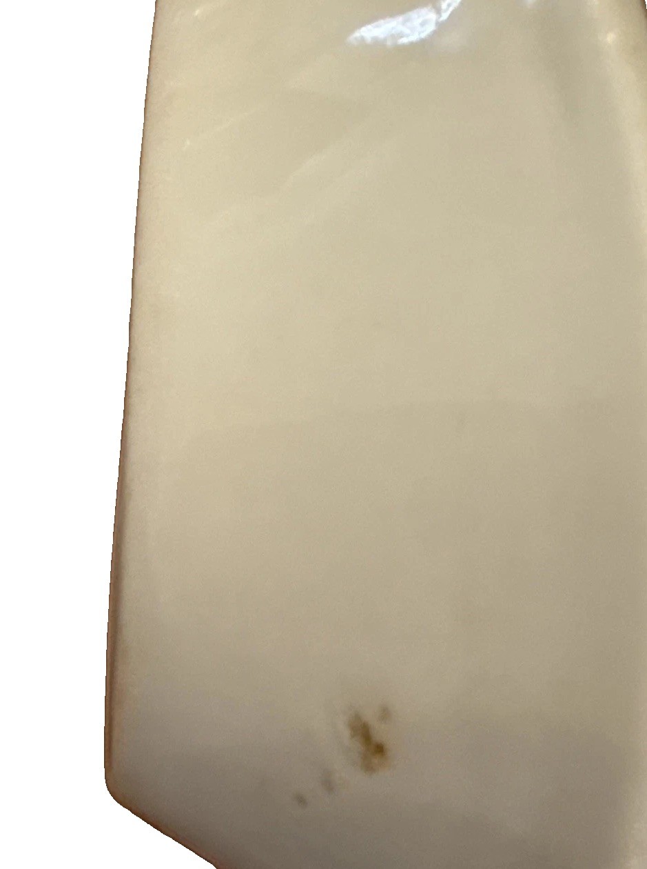 Antique White Greenwood China Trenton NJ Ironstone Soap Dish 1890s -Oval Shape