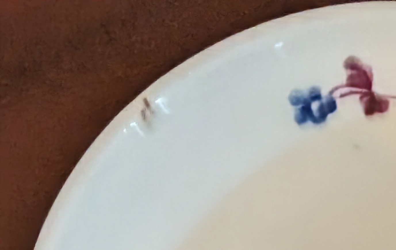 Antique 1830s Handpainted Porcelain Handless Cup & Saucer ~ Grape & Vine