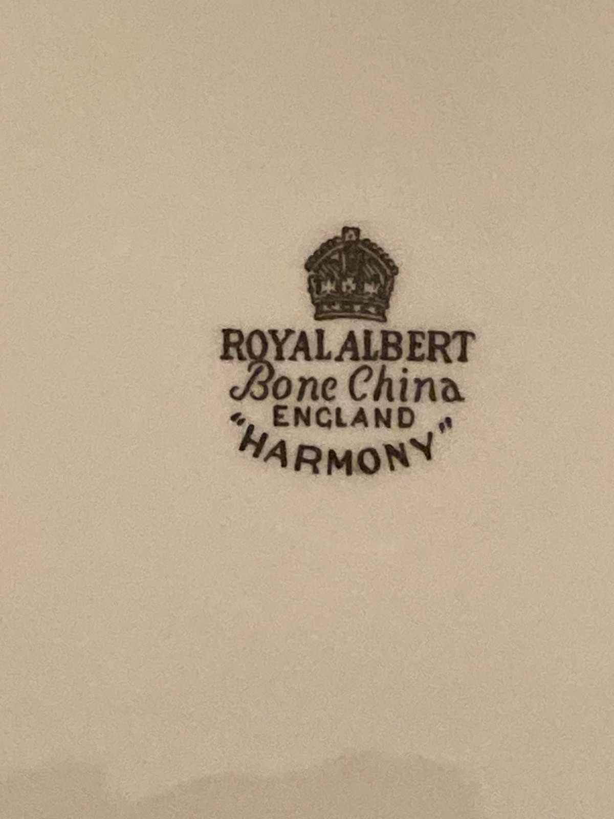 Royal Albert Harmony Platinum Band Bone China Dinner Plate 10.25″ Diameter