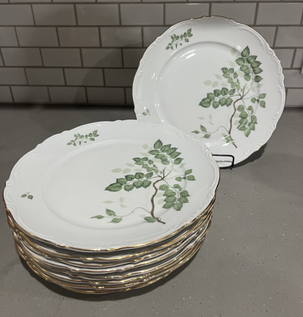 Mitterteich Germany Dinner Plate(s) GREEN LEAVES Bavaria Germany Gold Trim