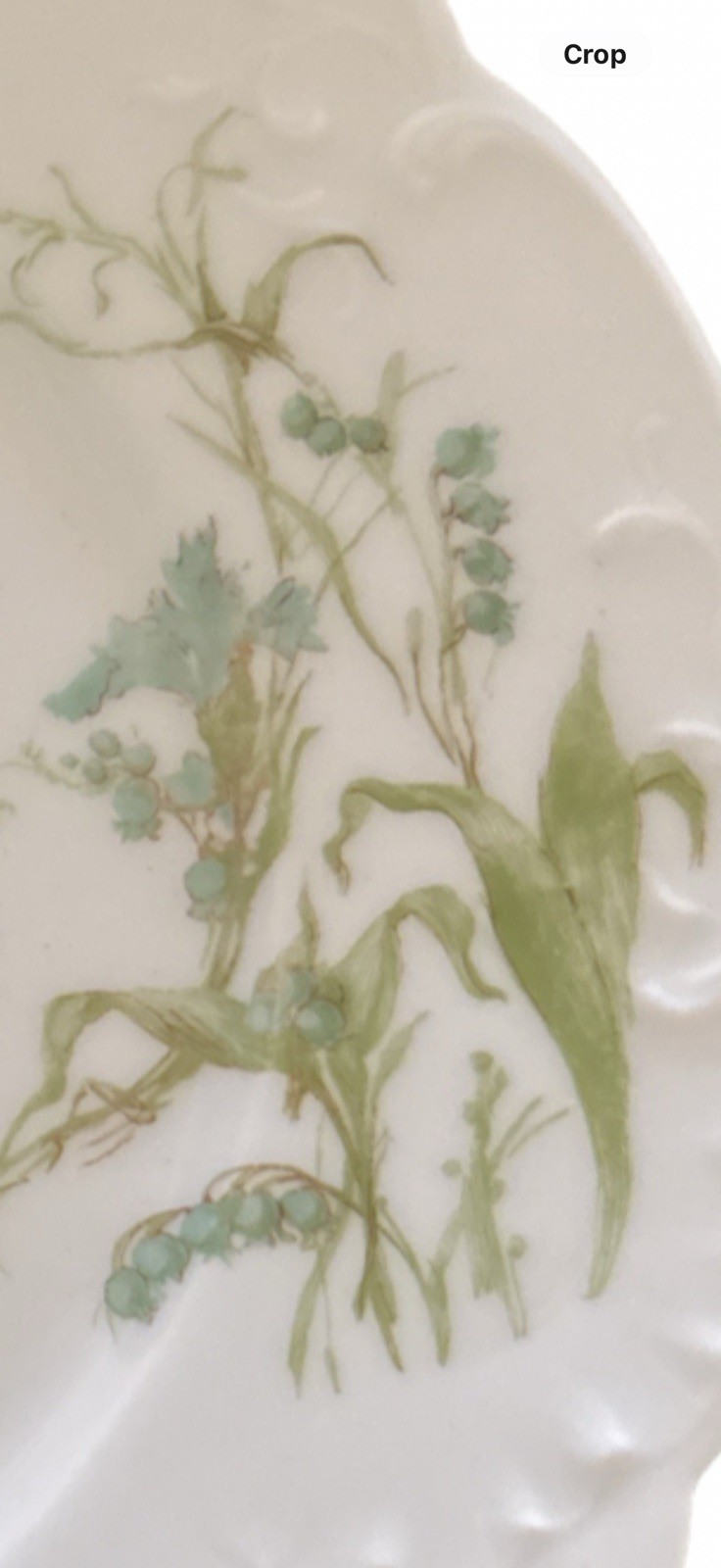 Antique Haviland Co Limoges France Blue Carnation 9.5 Dinner Plate Schleiger