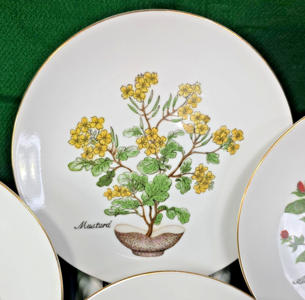 Vtg Herb Garden Wall Hanging Plates Set 4 Japan Parsley Mustard Sage Chives Deco