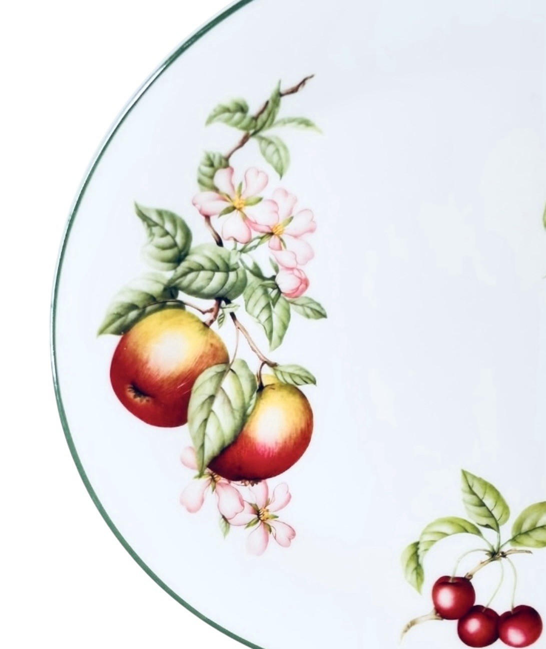 Royal Doulton ASHBERRY Multi Fruits White Green Band 8″ Salad Plate(s) EUC