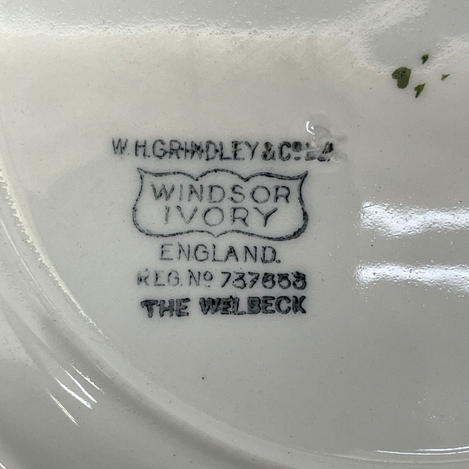 The Welbeck Plate By WH Grindley & Co Windsor Ivory Floral Bird Green Trim 9.5″