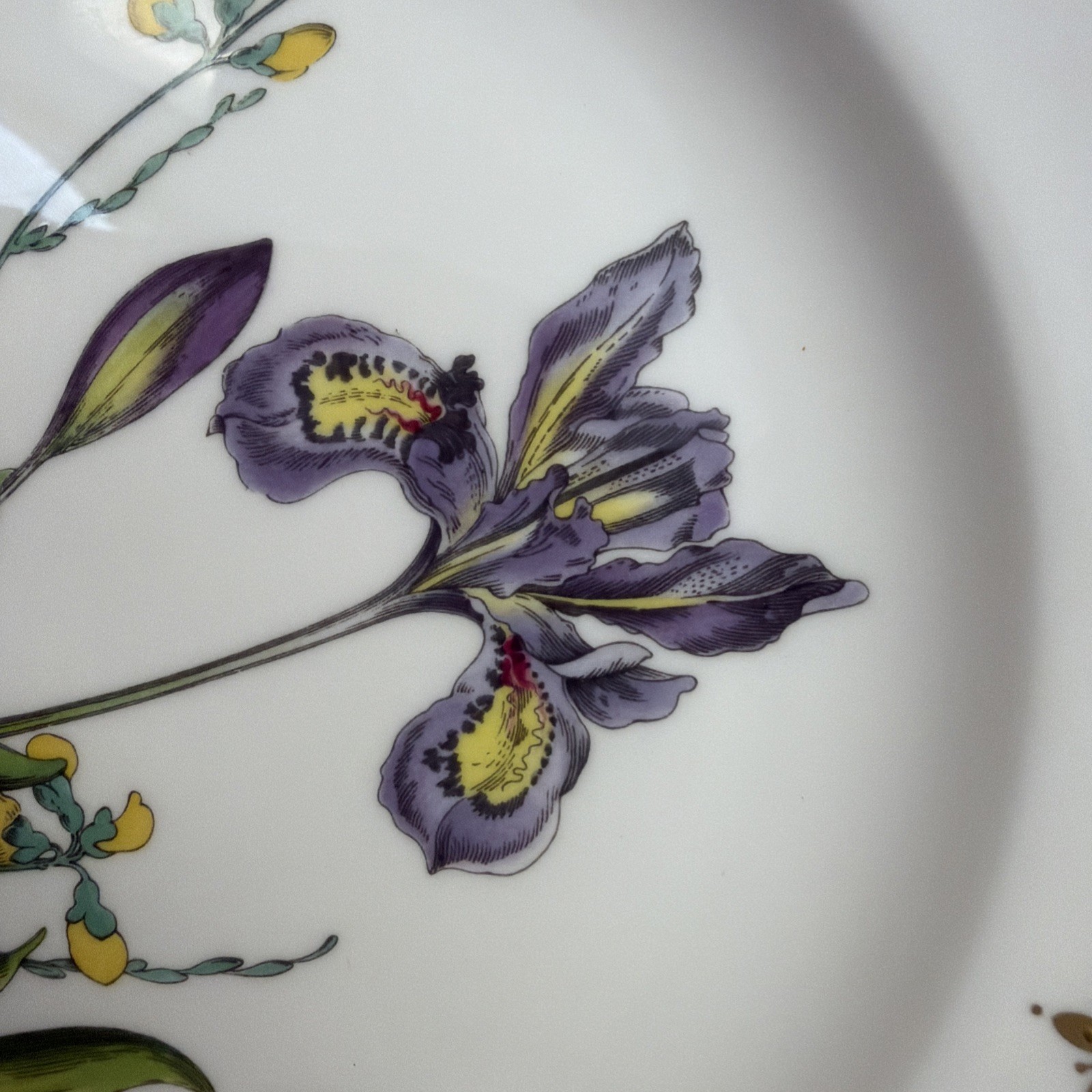 Spode Bone China Stafford Flowers 9 in Dinner Plate ENGLAND Iris & Sphaerolobium