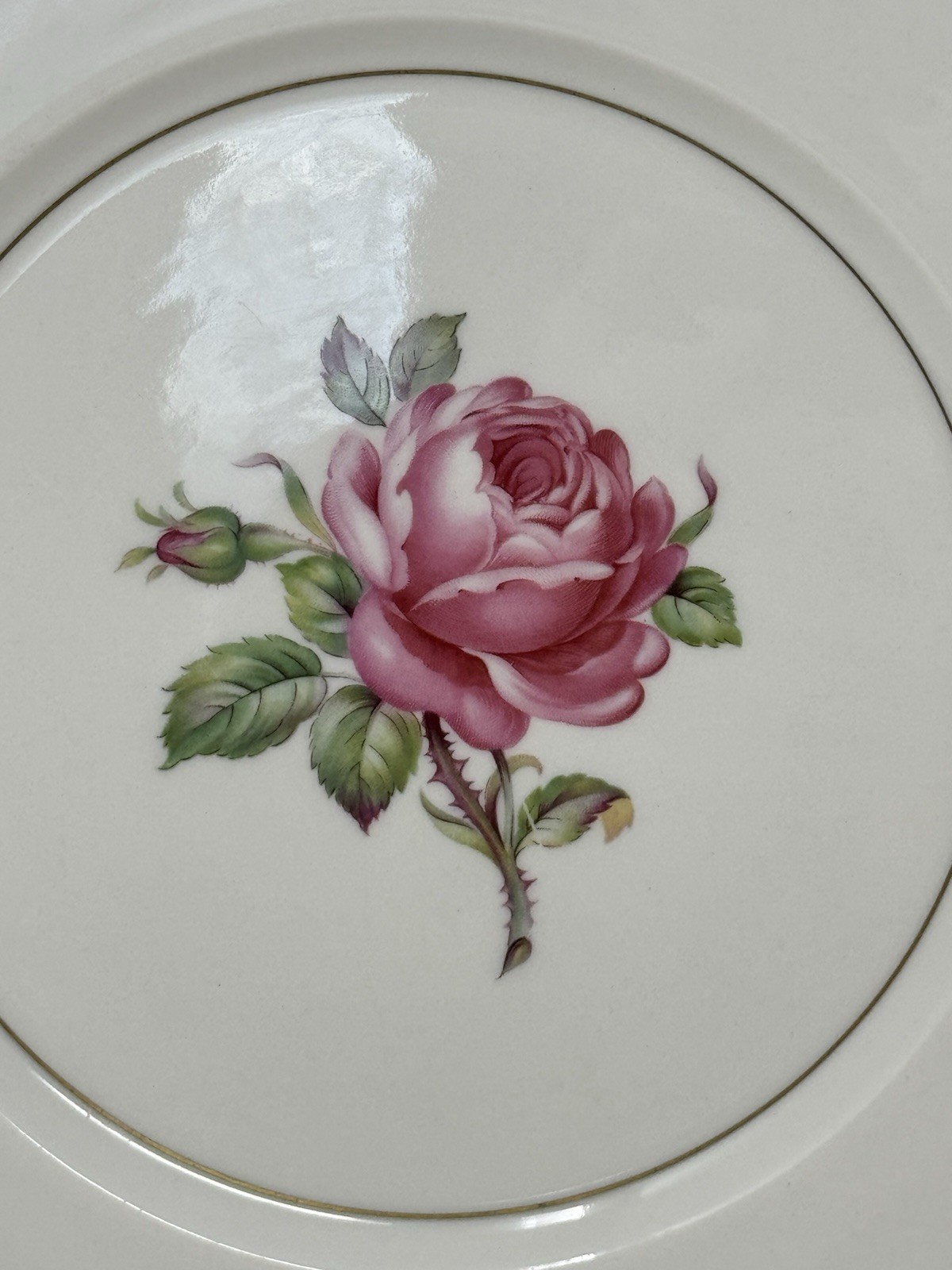 2 Ancestral USA China Manor Rose Dinner Plates rose floral gold trim GUC elegant