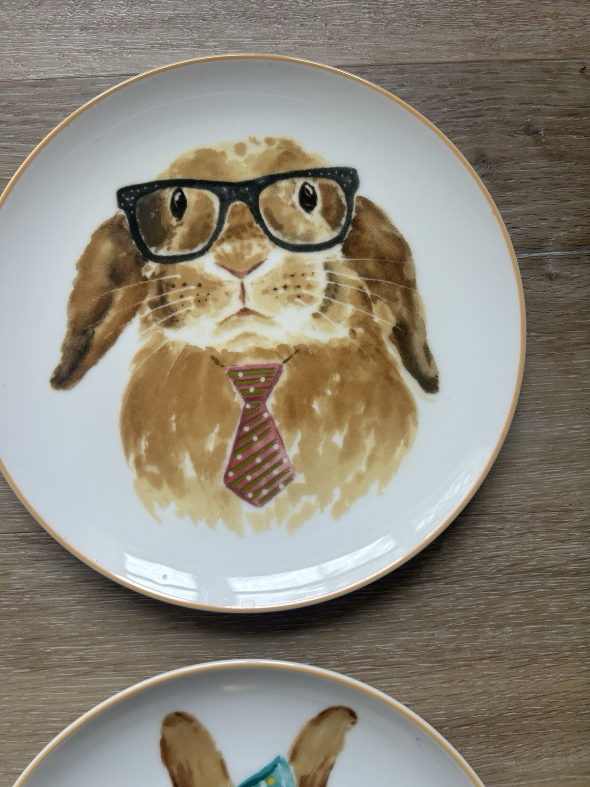 Four Bunny Plates Easter Spring Eight Inches Each Brand New