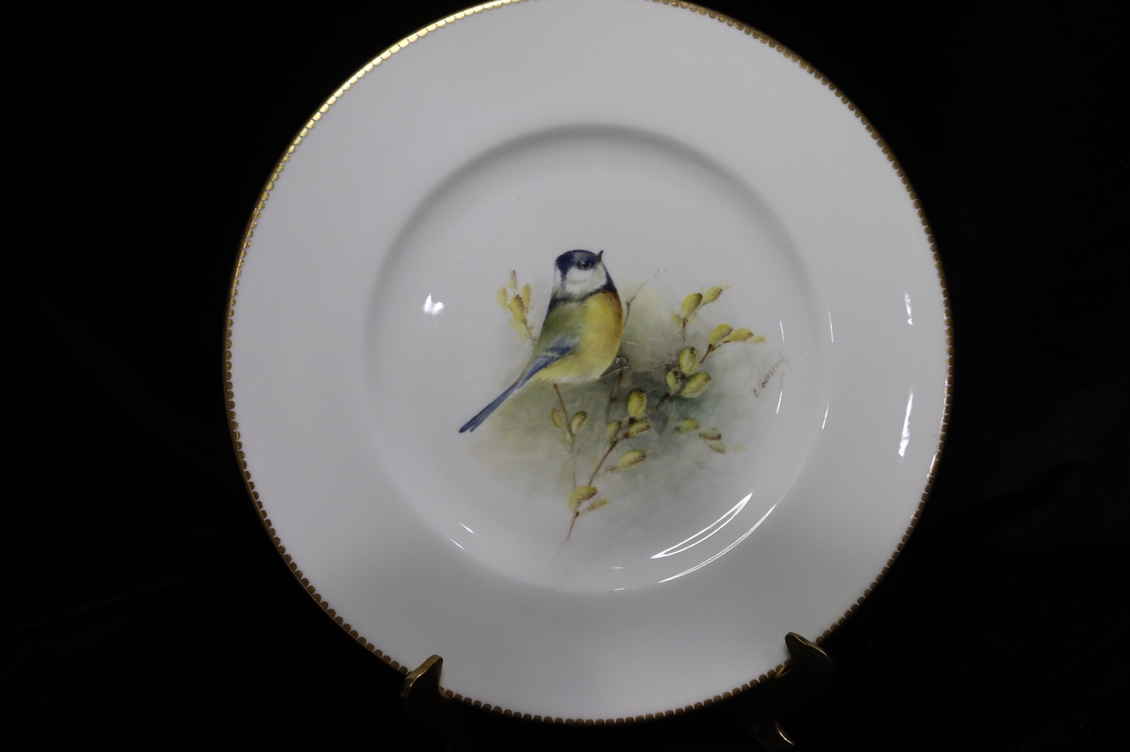 Royal Worcester Multi-Motif Birds Bone China 2 Dinner Plates Artist E. Townsend