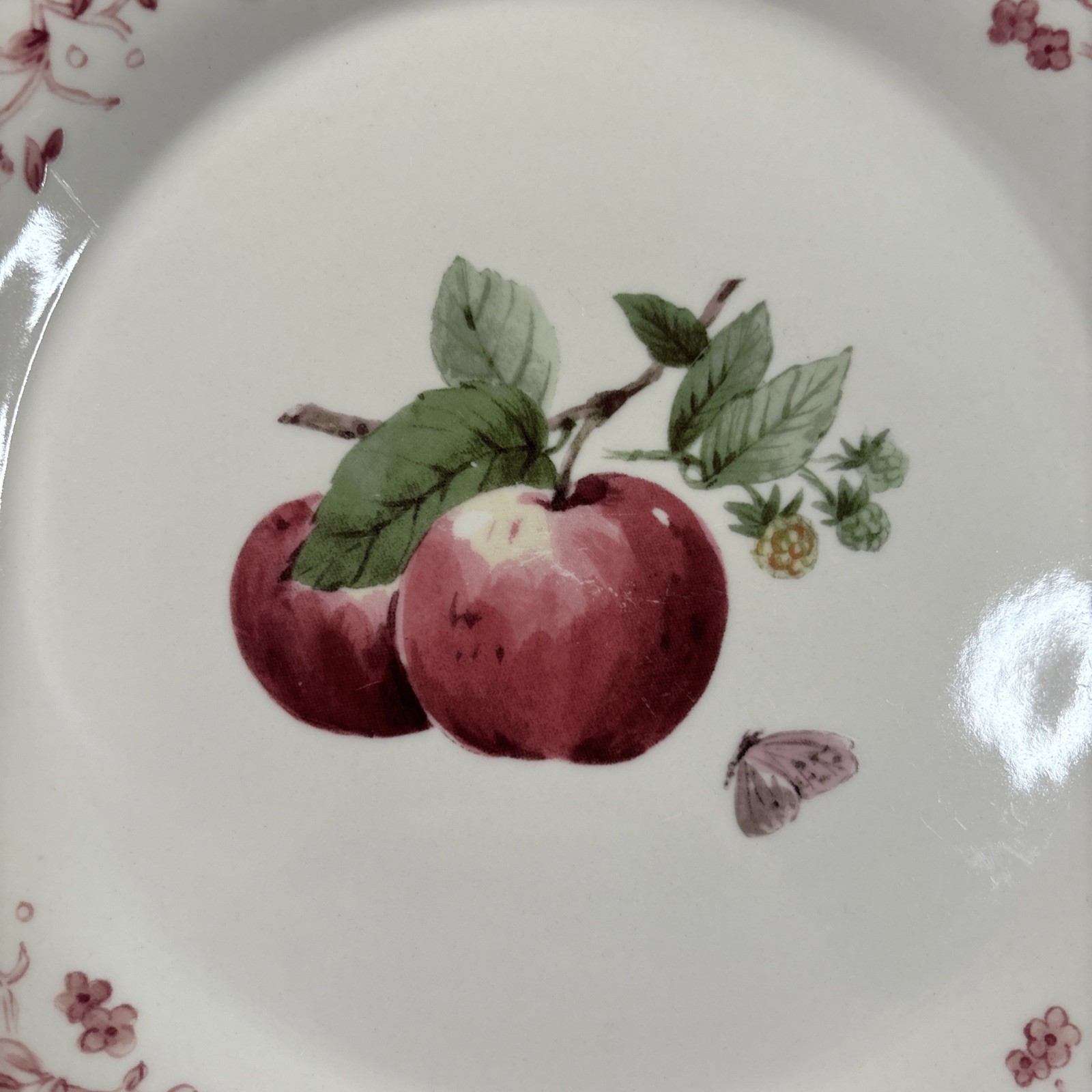 Pfaltzgraff Delicious Apple 11″ Dinner Plates Set of 2 Pink Floral Border
