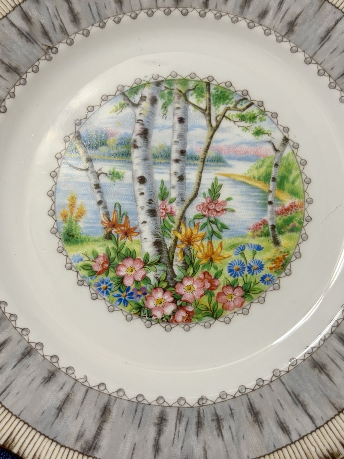 Royal Albert Silver Birch Cake Set for 6 Handled Plate C&S Cups & Saucers Plates