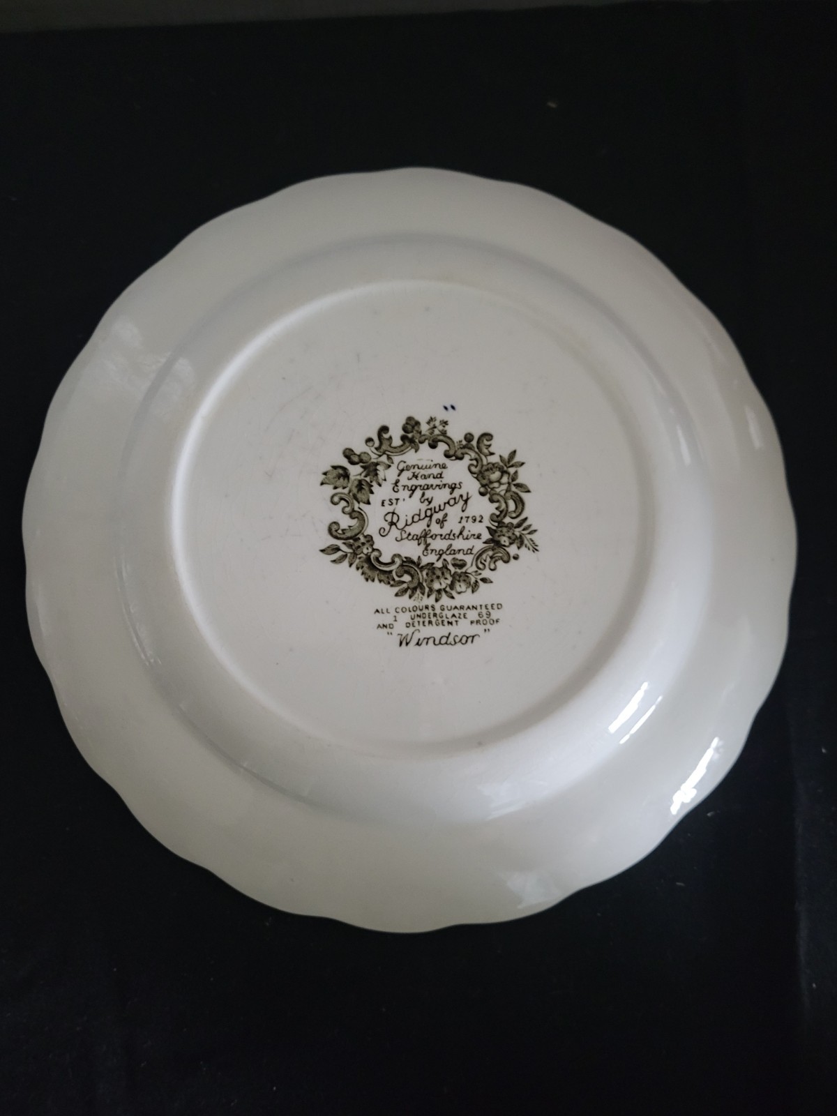 Windsor Green Ridgway Staffordshire England Vintage Dinner Plate Bird Eclectic