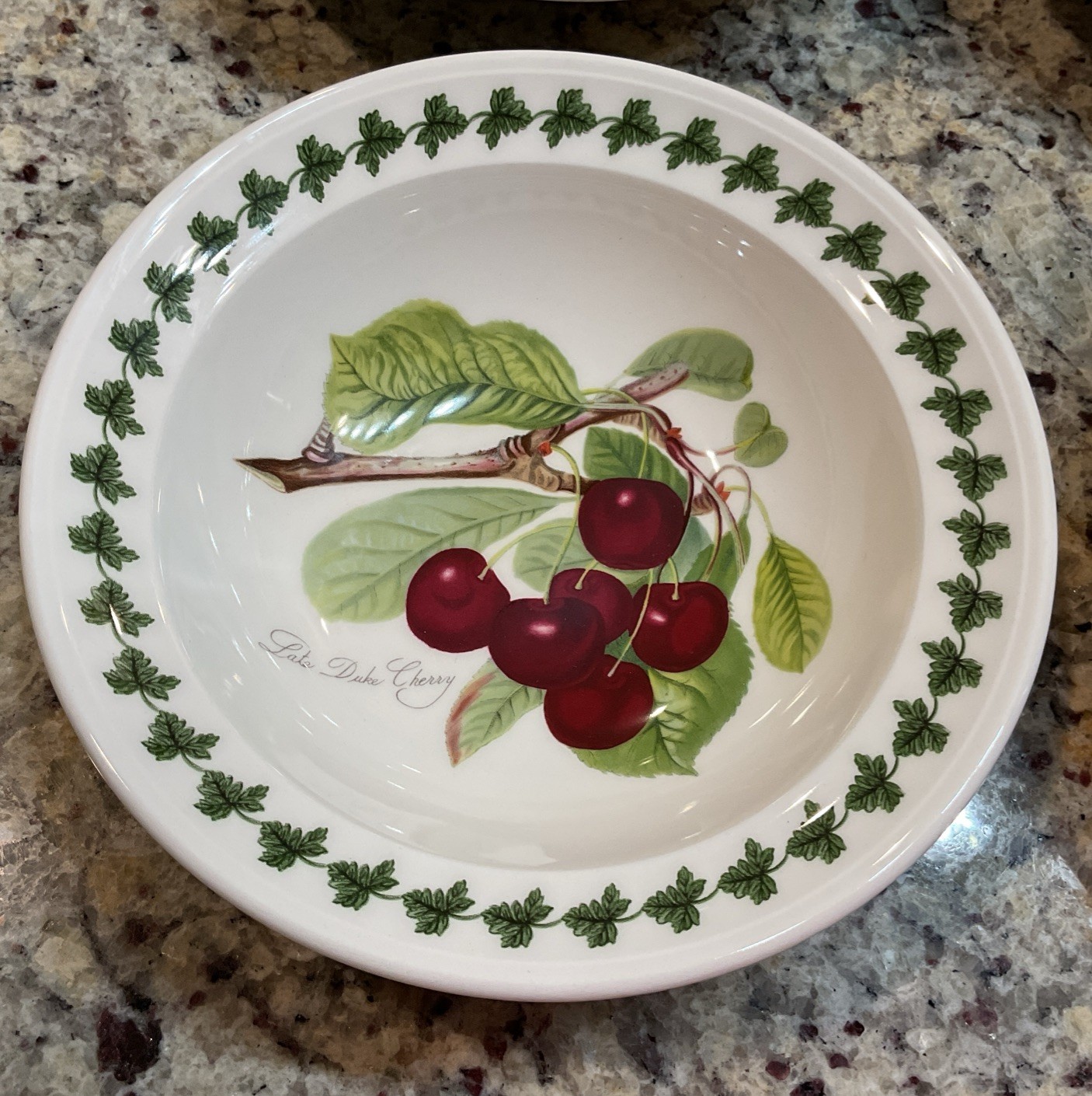 PORTMEIRION Set of 6 POMONA Rimmed Oatmeal Bowls – 6.5 in Made In England NWT