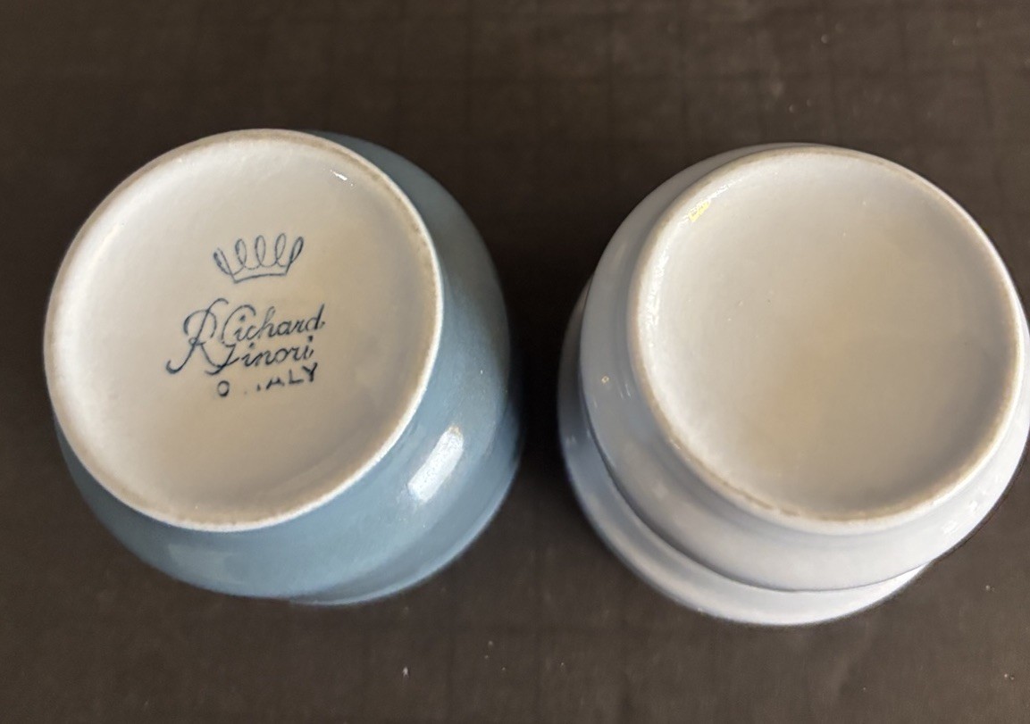 guhnw-le Richard Ginori Italy ~Espresso Coffee Cup Insert & Saucer
