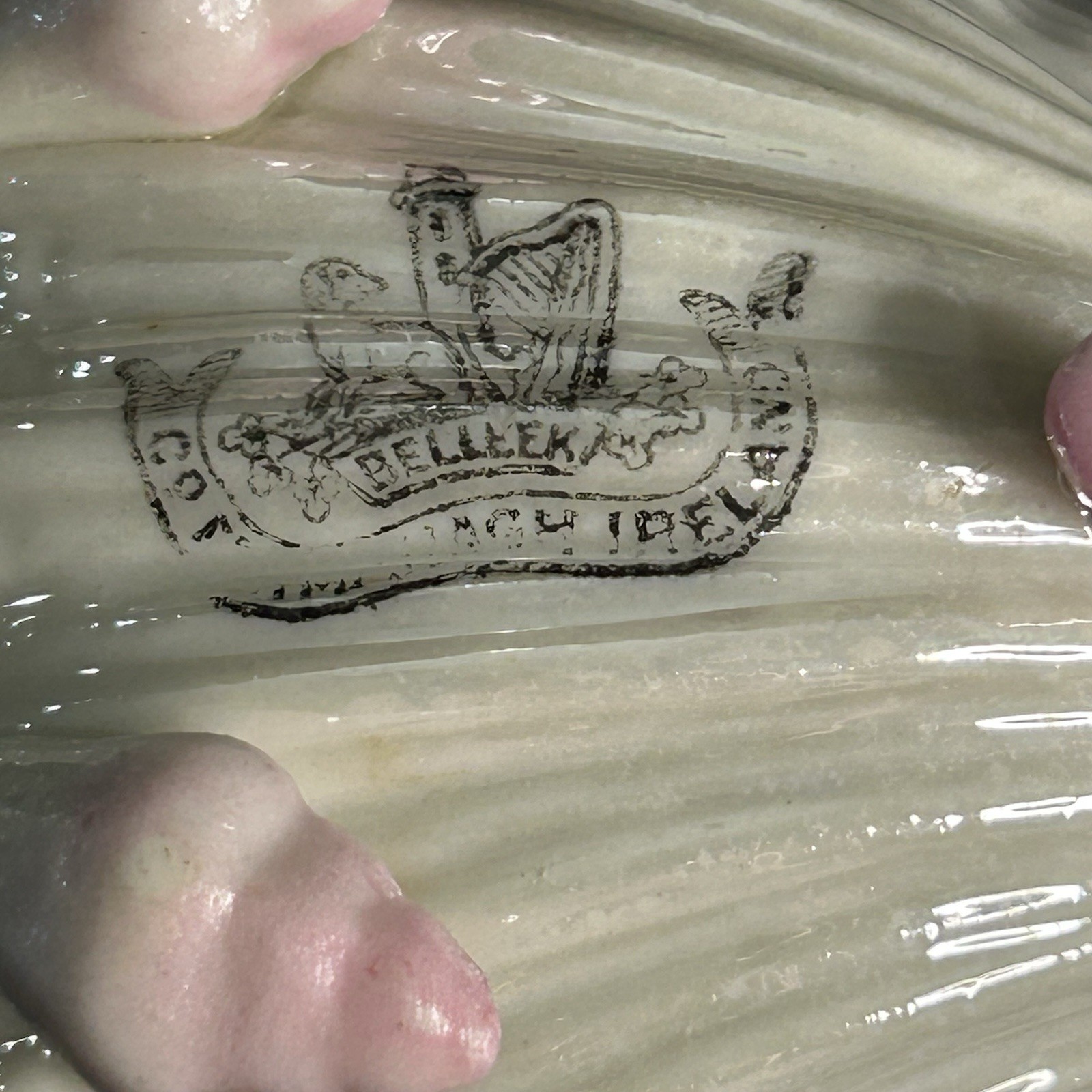 Antique Belleek Neptune Pink Shell Teacup 2nd Black Mark Cup Only Ireland
