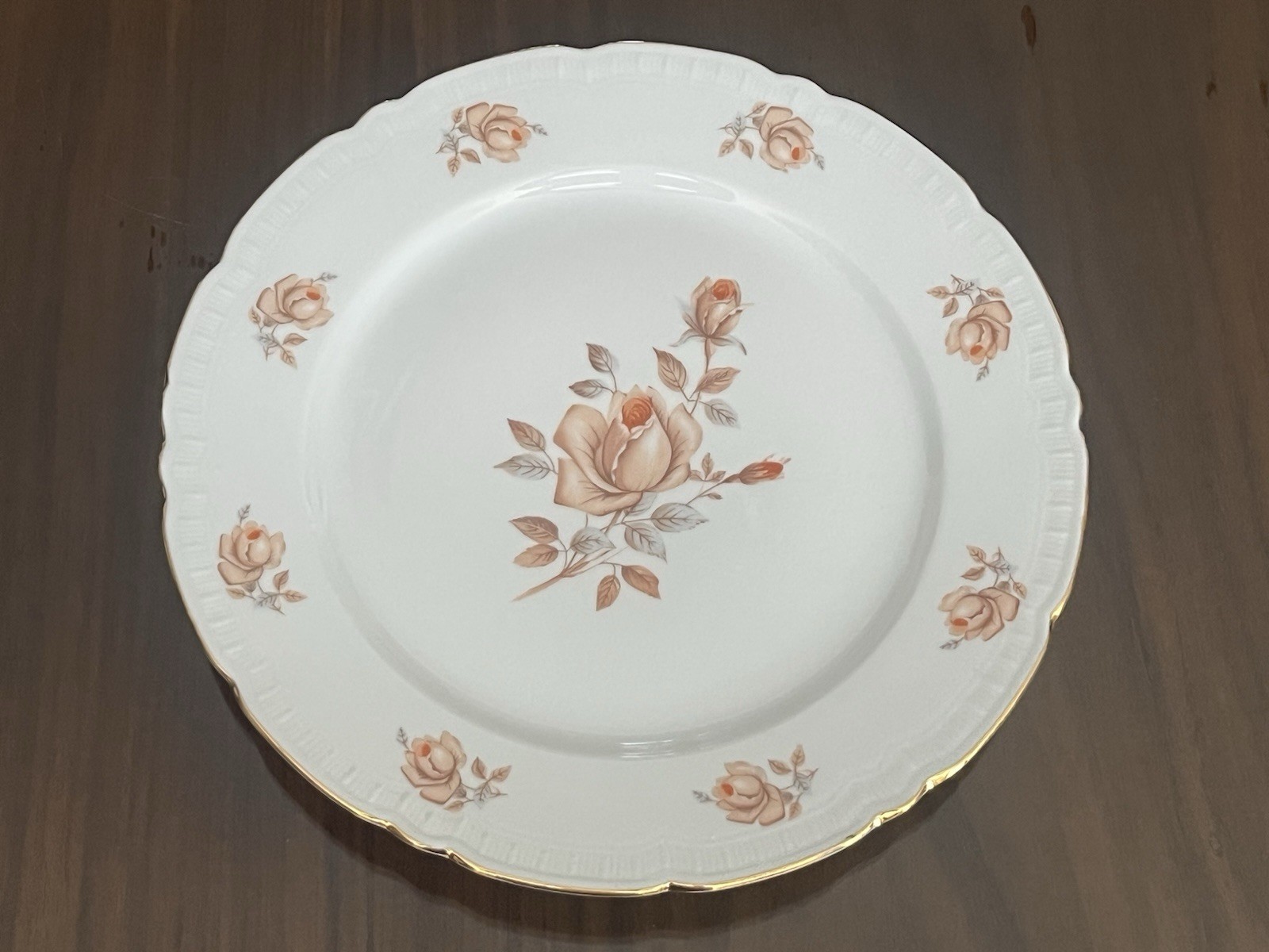 Vintage 10 Pieces Bohemian China Alpin Rose Porcelain Dining Set For 2