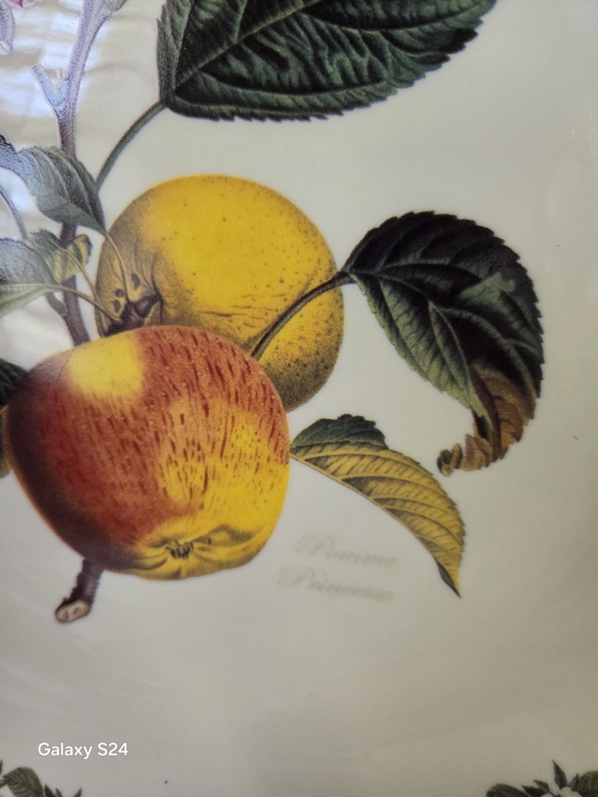GARDEN KEW ROYAL BOTANIC Fine China Pomme Princess Dinner Plate 10 1/2″