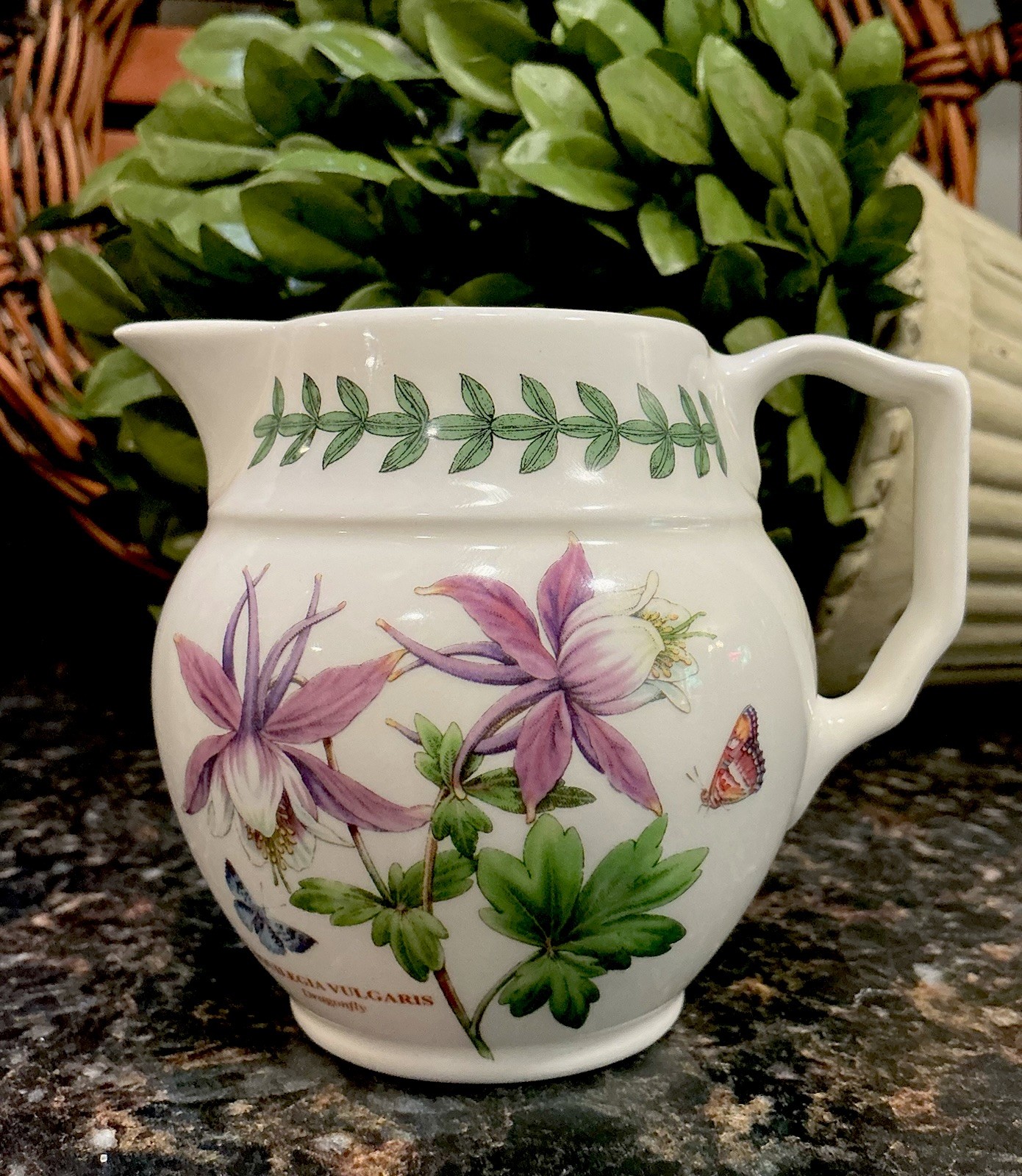 Portmeirion Exotic Botanic Garden DRAGONFLY 8oz Creamer DISC England ~ PRISTINE