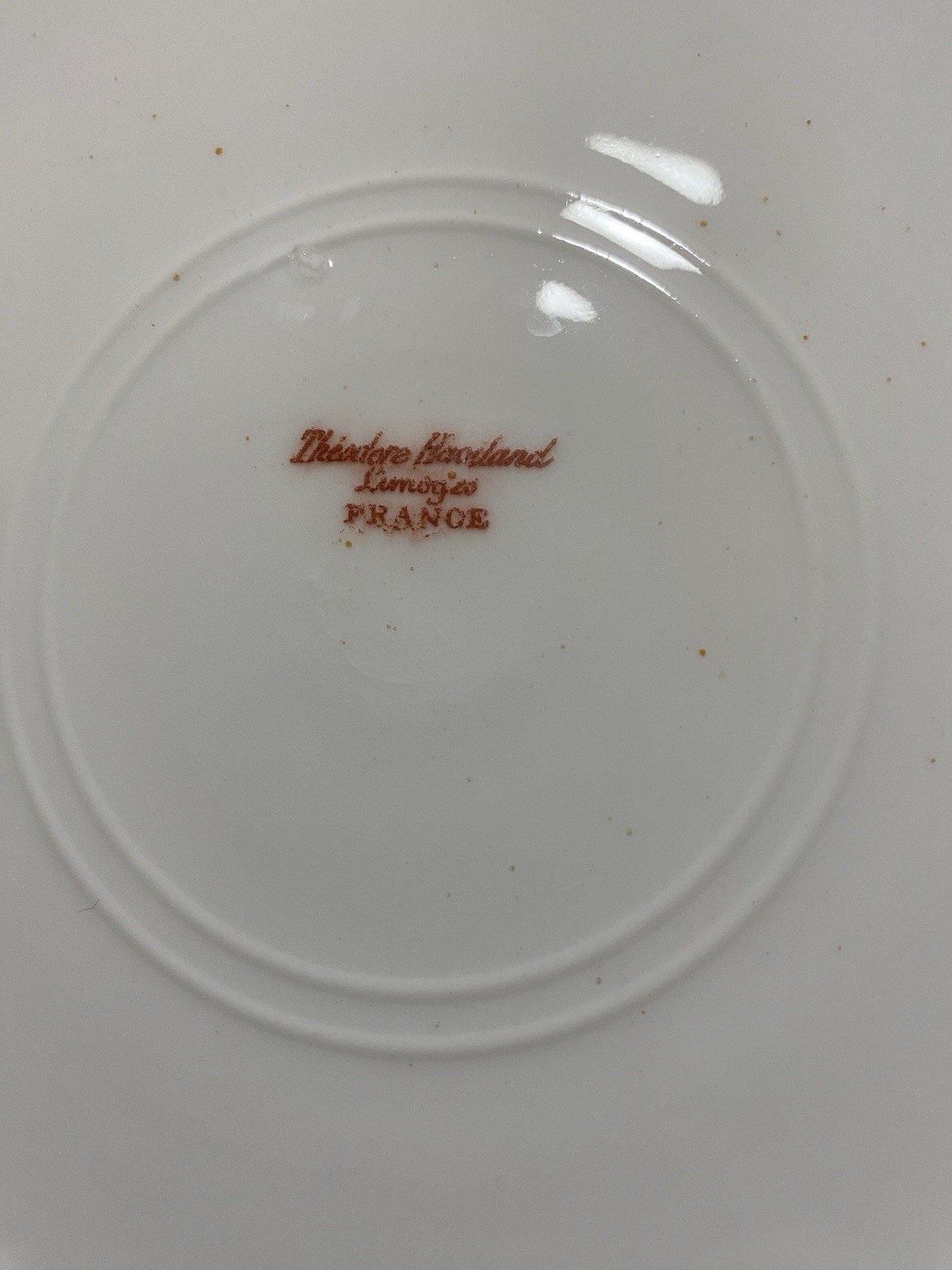 Haviland Limoges Schleiger 1098 Dinner Plate; Pink Rose Garland c1903
