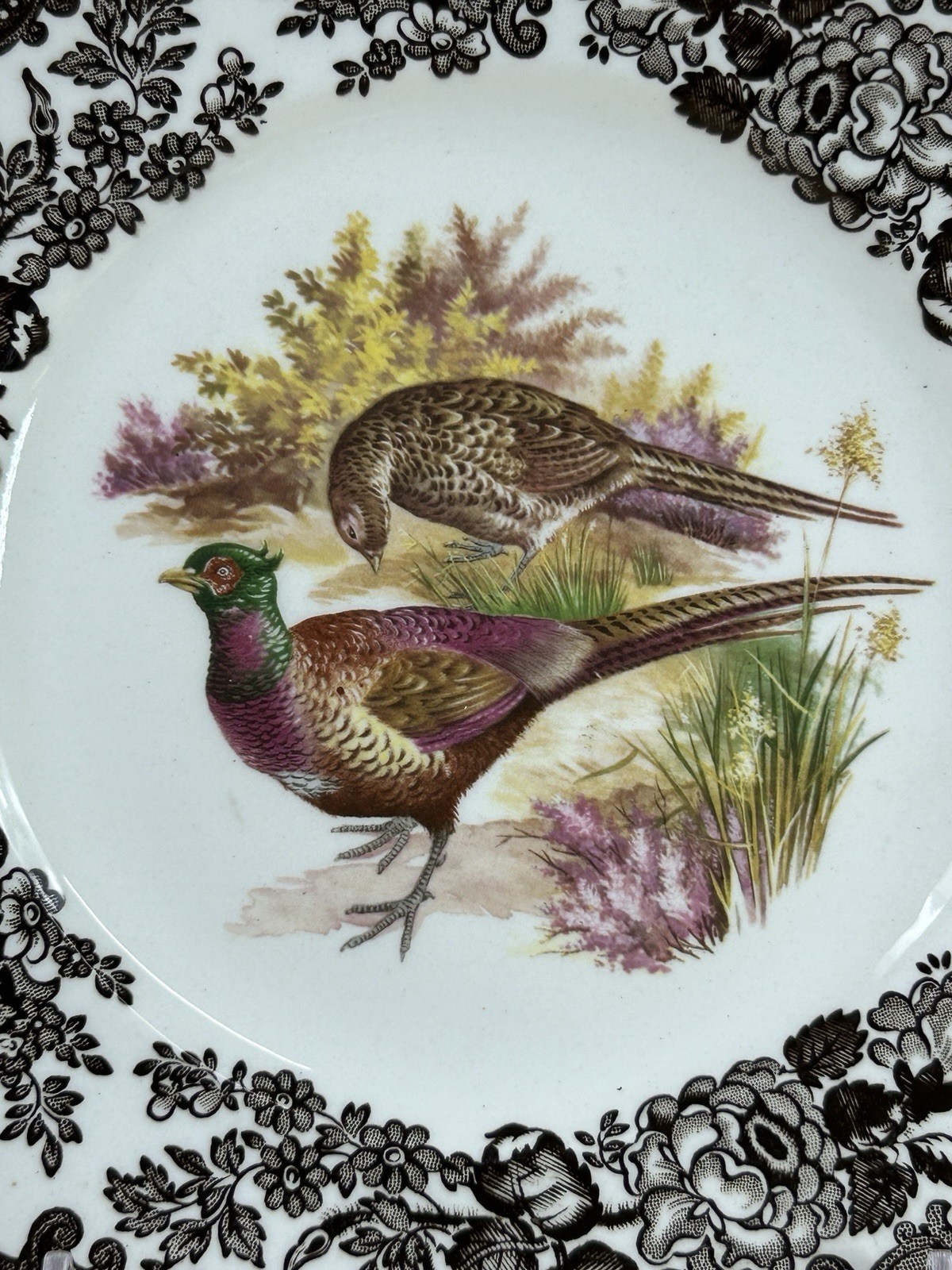 Royal Worcester Palissy England Game Series 7 7/8″ Plate Pheasants 23-4