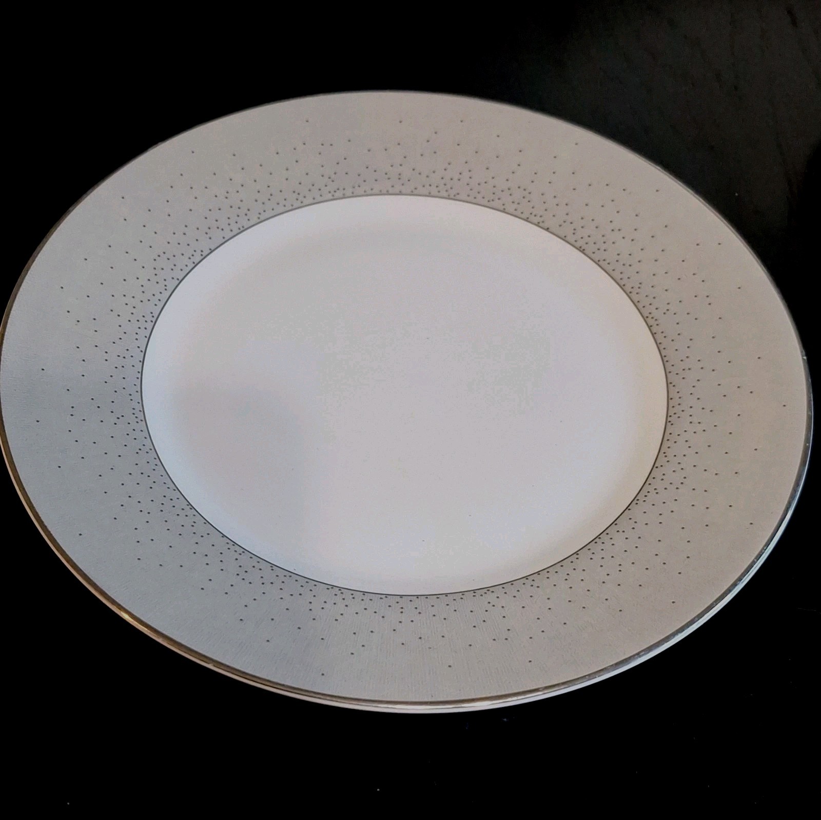 Waterford Monique Lhuillier Stardust Bone China 4 Piece Place Setting