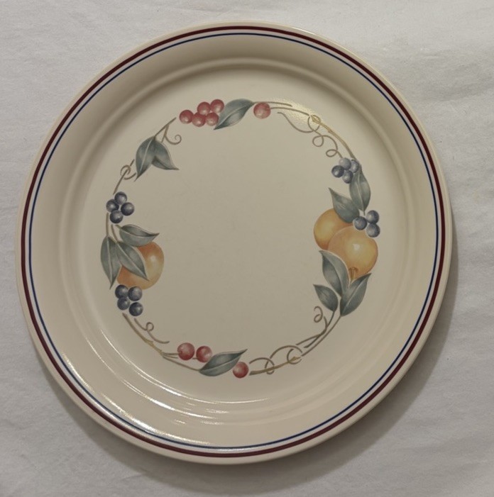 Corelle Abundance Dinner Plate 10.25” Round VINTAGE EC