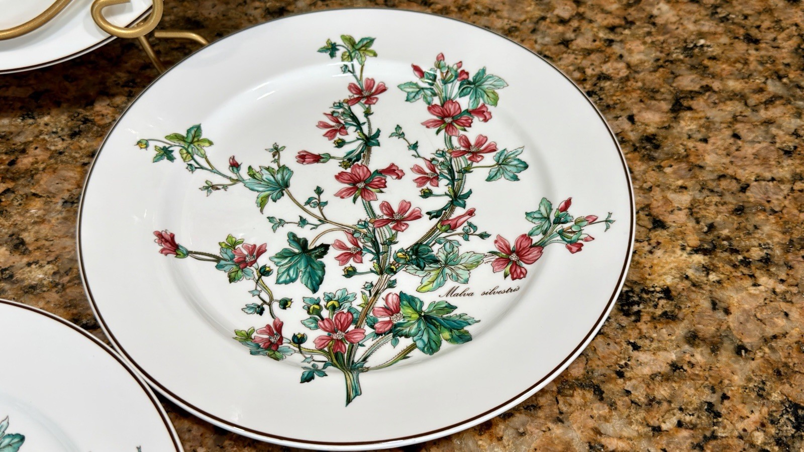 VTG Villeroy Boch Botanica Malva Silvestris 6 Dinner Plates 10-3/8 Luxembourg