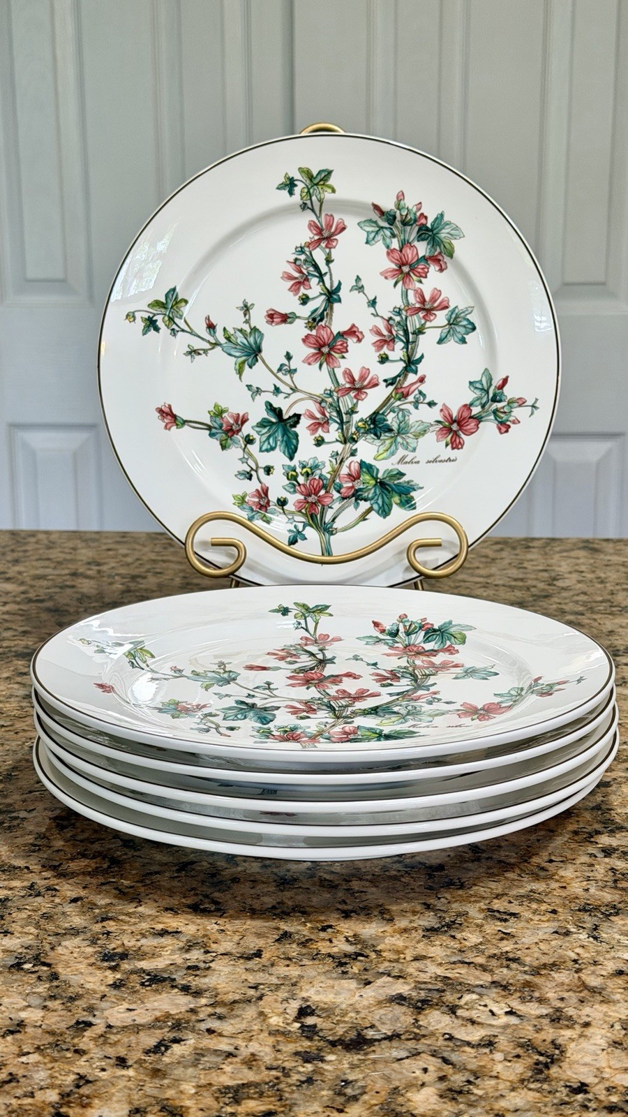 VTG Villeroy Boch Botanica Malva Silvestris 6 Dinner Plates 10-3/8 Luxembourg