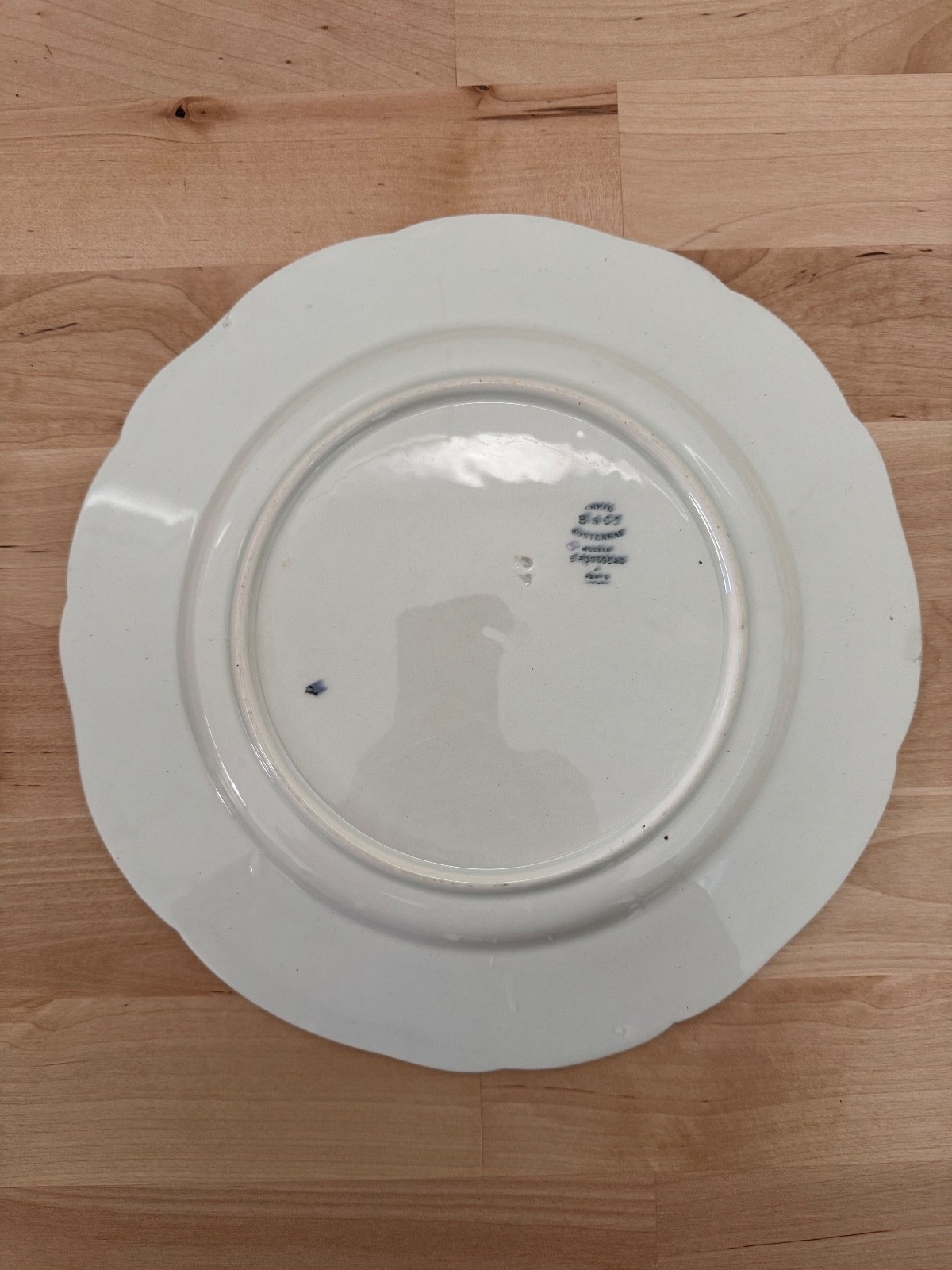 Service Rousseau plate by Bracquemond, B&Cie backmark c. 1875