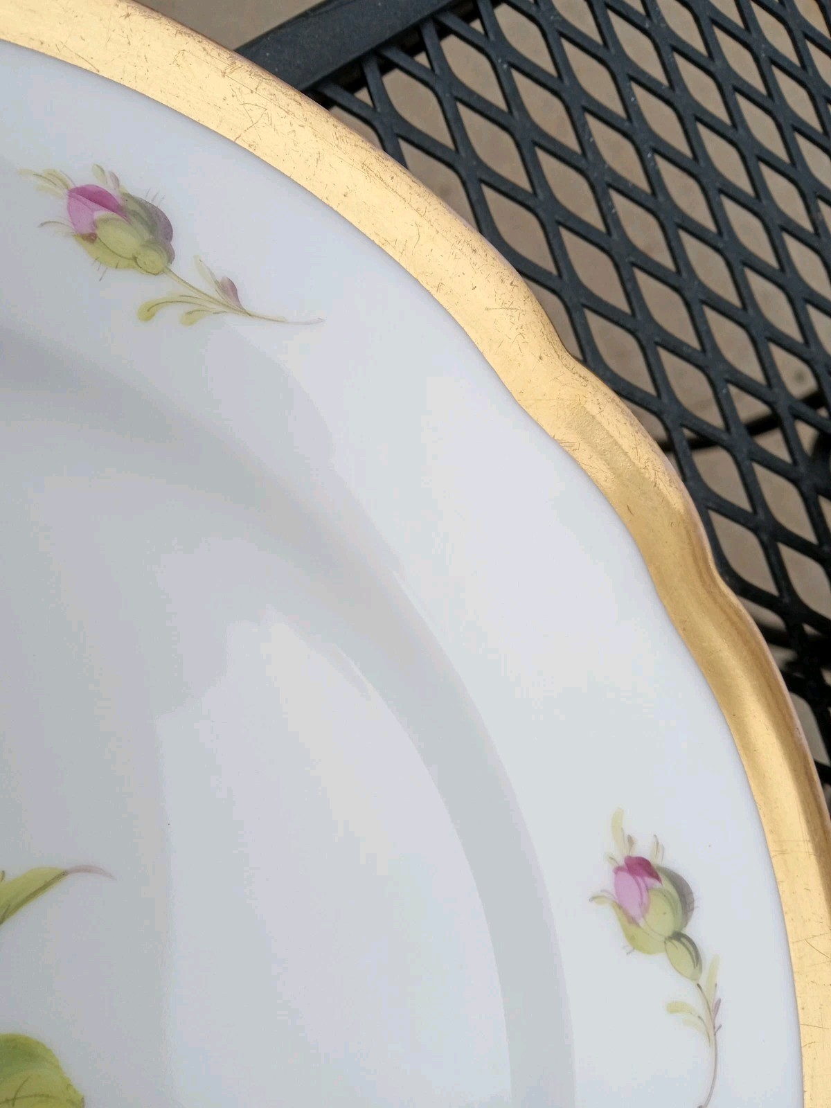 12 Antique Helena Wolfsohn DRESDEN ROSE Porcelain Dinner Plate OVINGTON BROS NY