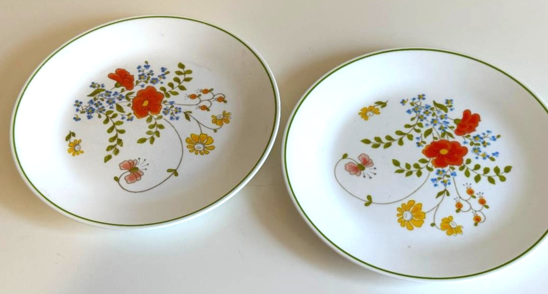2 VTG Dinnerware Plates Corelle by Corning “Wildflower” Pattern 10.25″ Retro