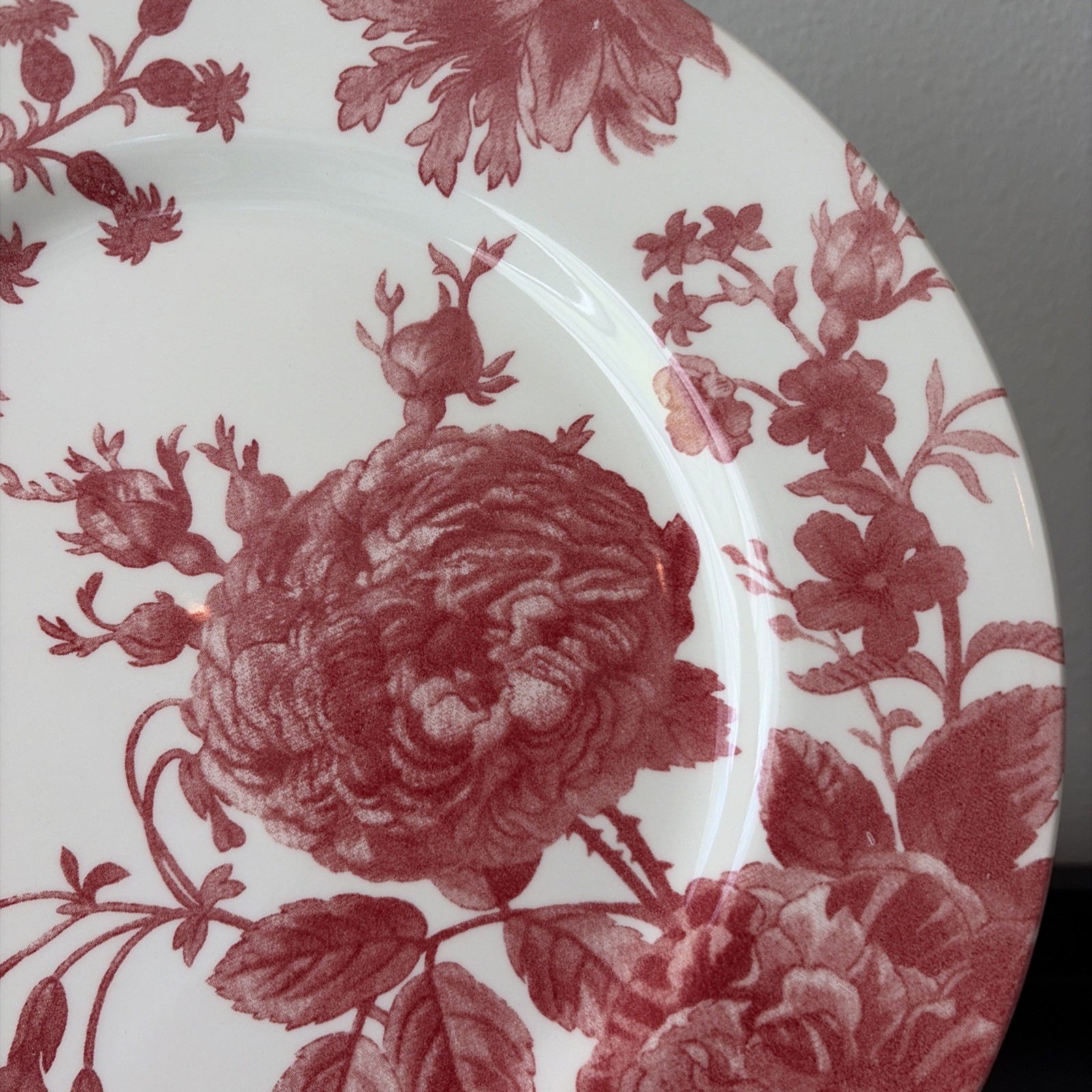 Royal Stafford Floral Weave Coral Red Large Dinner Plate 11”