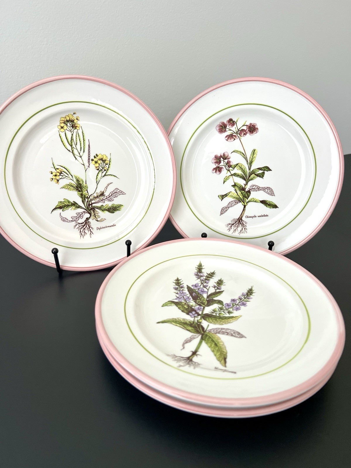 Vintage Botanical Plates 8″ Italy La Primula Hand-Painted Salad Plate Pink Rim
