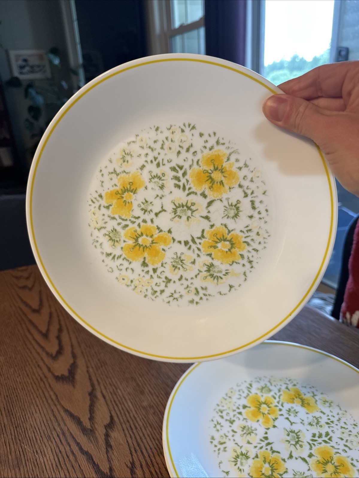 Corelle April Showers Yellow Flowers 10.25” Dinner Plates Corning Vintage