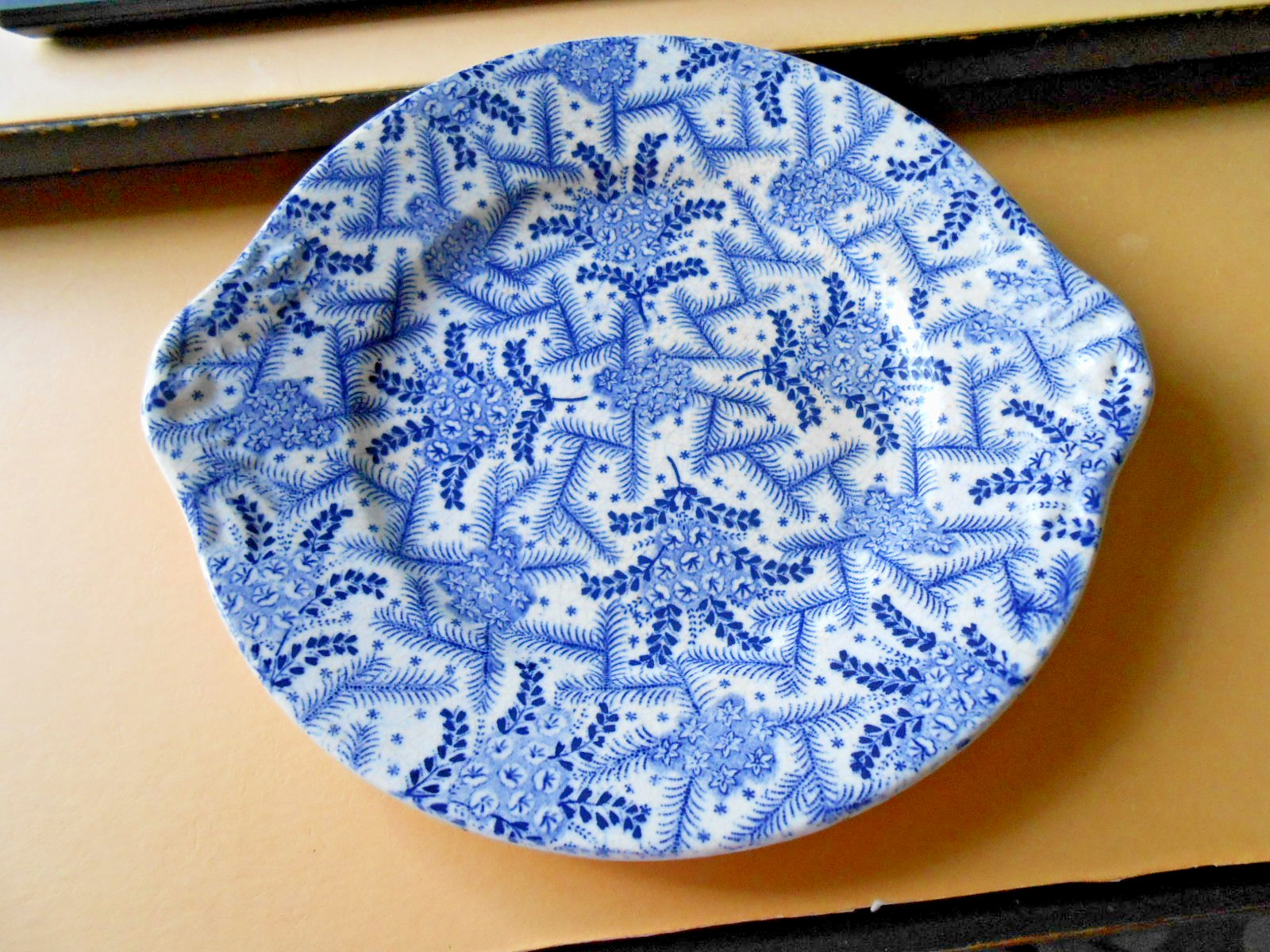 Georgian WILD ROSE Blue Transferware Platter Anti SPODE c.1830 Staff England