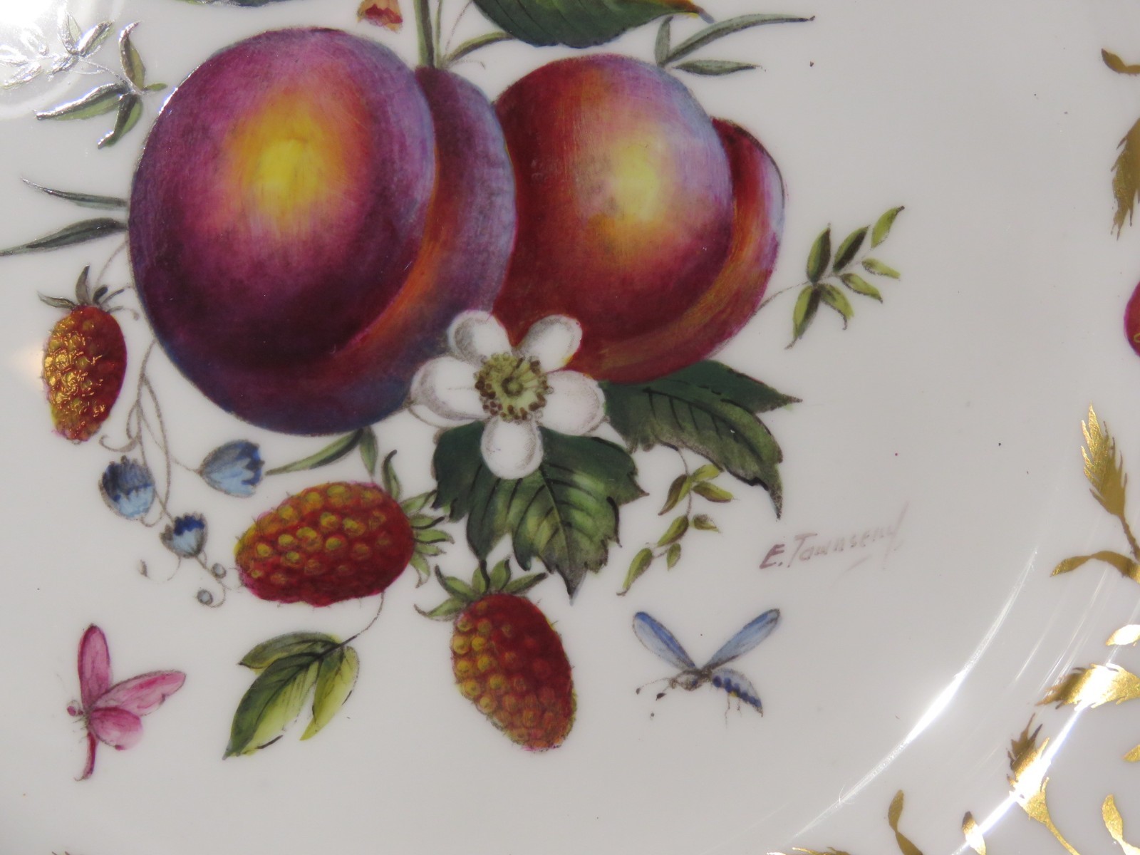 8 Royal Worcester 9″ Bone China Botanical Style Plates Signed E. Townsend
