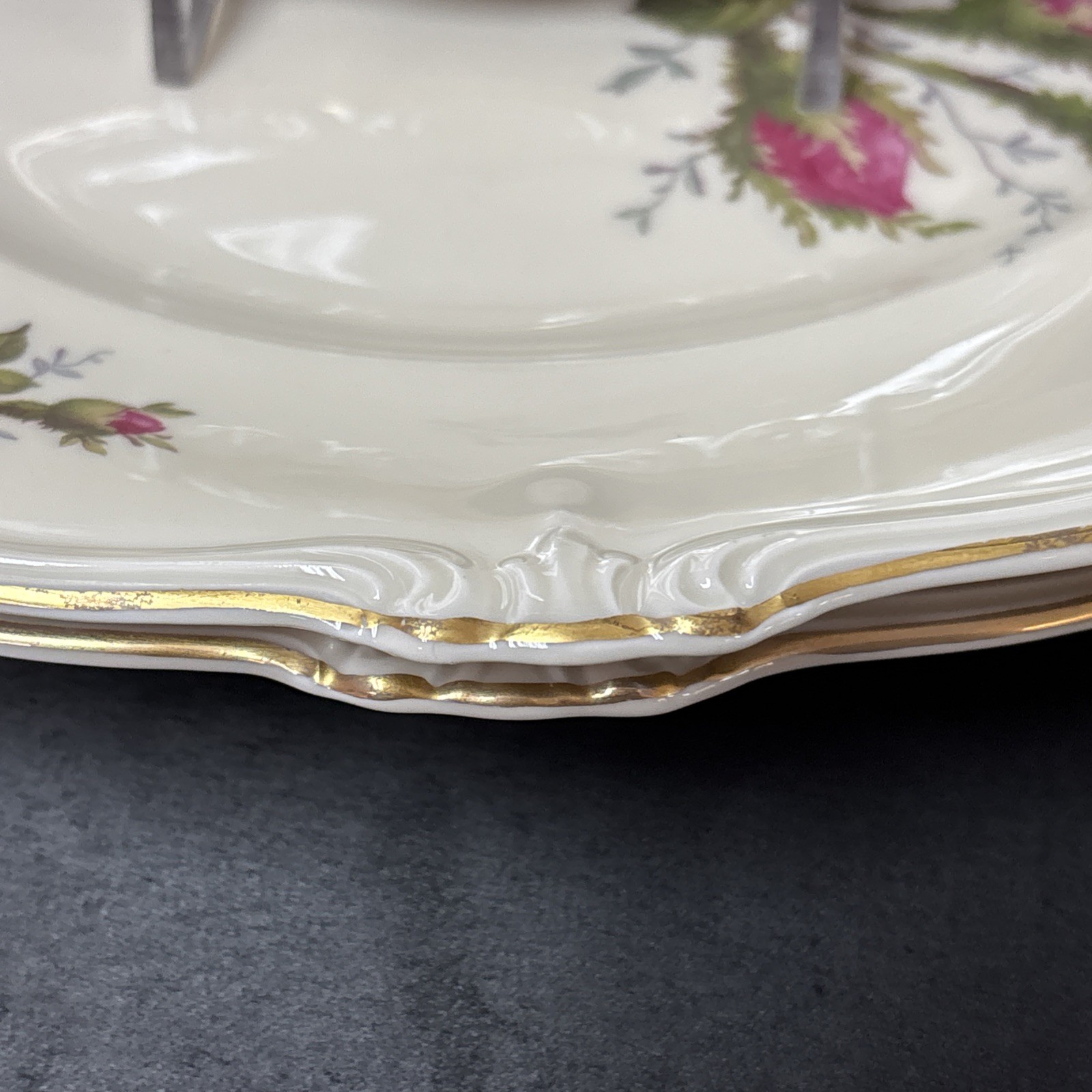 Rosenthal Continental MOSS ROSE POMPADOUR (Ivory) Dinner Plate 10 1/8 Inches