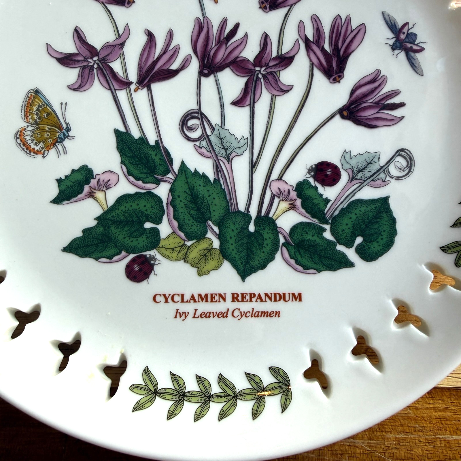 Botanic Garden by Portmeirion Rare Pierced Edge 8.5″ plate-Ivy Leaved Cyclamen