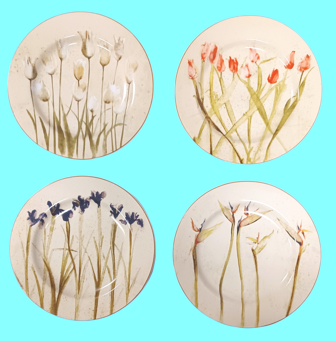 Sakura Paradise Varies Flower Stem Plates 8-1/4″ Cheri Blum Stoneware Qty 4