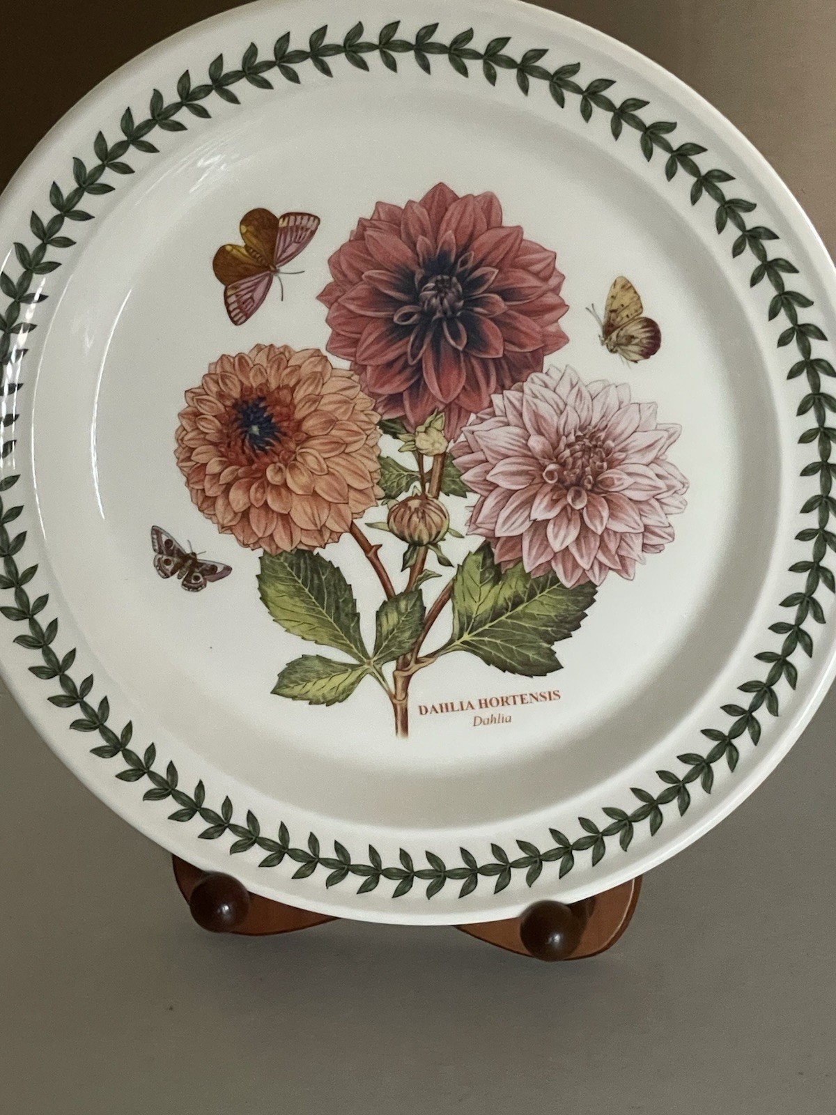 PORTMEIRION BOTANIC GARDEN FINE EARTHENWARE “DAHLIA “ DINNER PLATE 10,5”