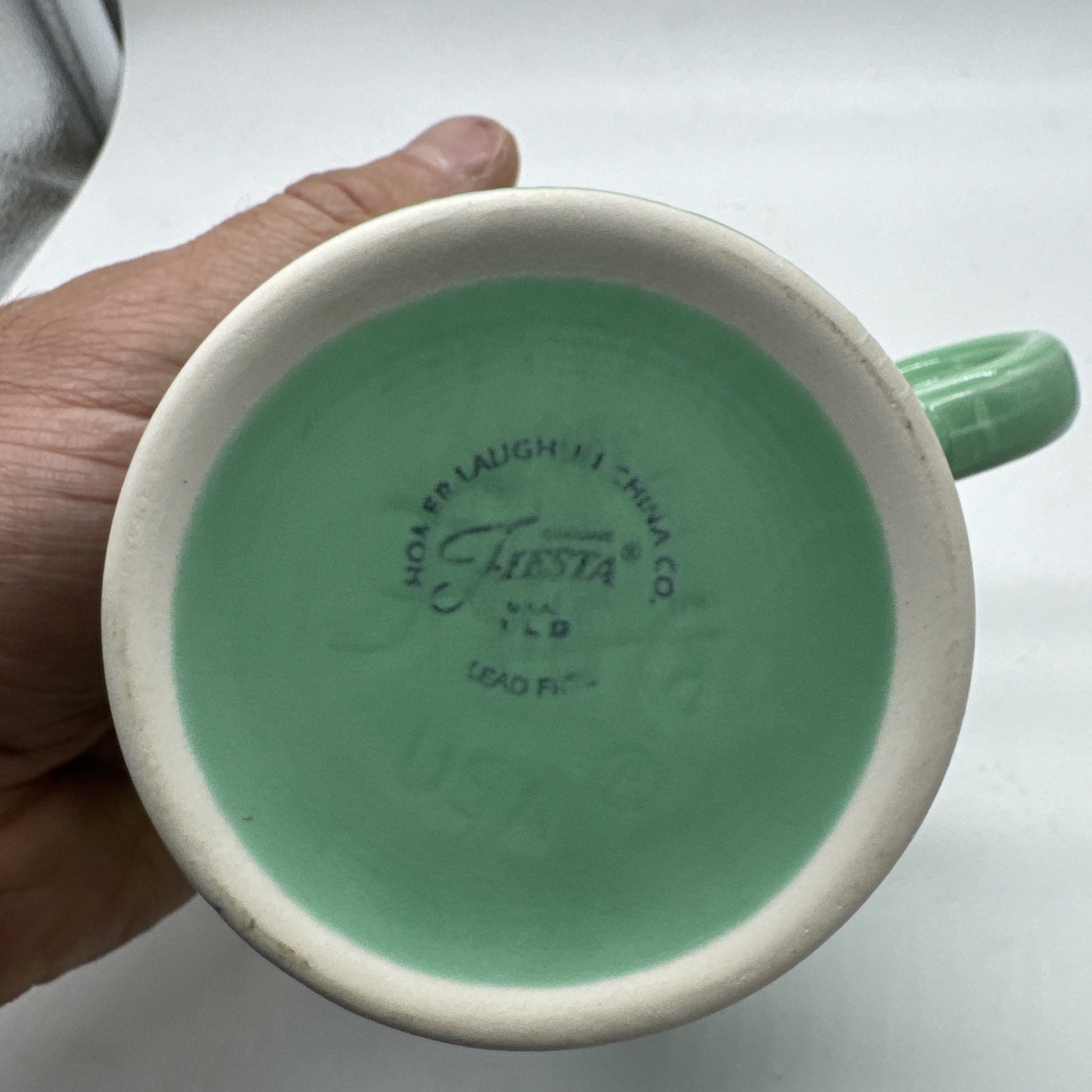 Fiesta Ring-Handled Fan/Horizon Mug SEAMIST #3