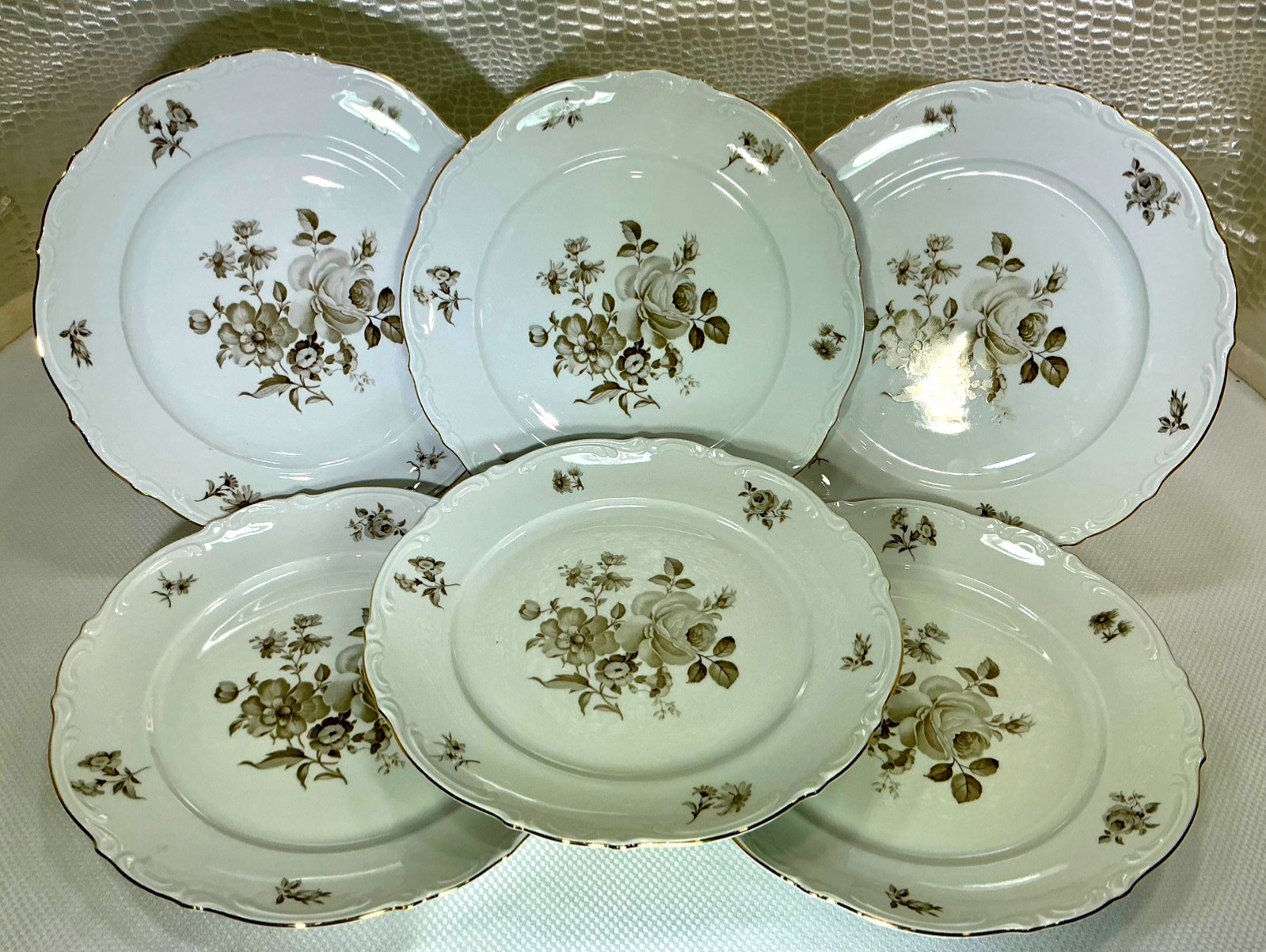 Mitterteich Charming Barbara 10 1/2” Set of 6 Dinner Plates 1949-1959 Germany