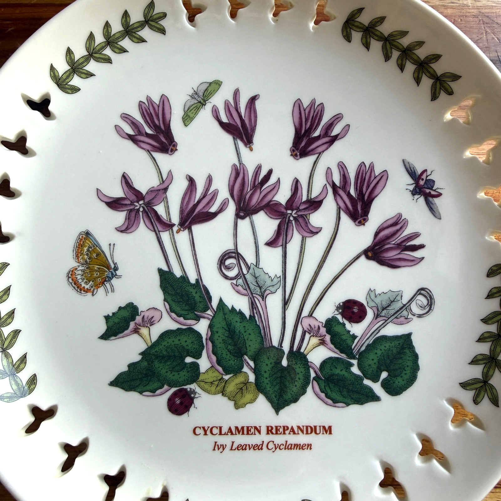 Botanic Garden by Portmeirion Rare Pierced Edge 8.5″ plate-Ivy Leaved Cyclamen